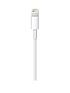 apple-lightning-to-usb-cable-2mback