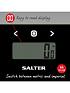 salter-salter-analyser-scalesback