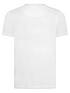 lyle-scott-boys-classic-short-sleeve-t-shirt-whiteback