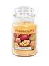 yankee-candle-large-classic-jar-candle--nbspmango-peach-salsanbspfront