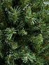 everyday-6ft-green-regal-fir-treeback