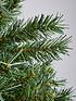 green-regal-fir-christmas-tree-7ftoutfit