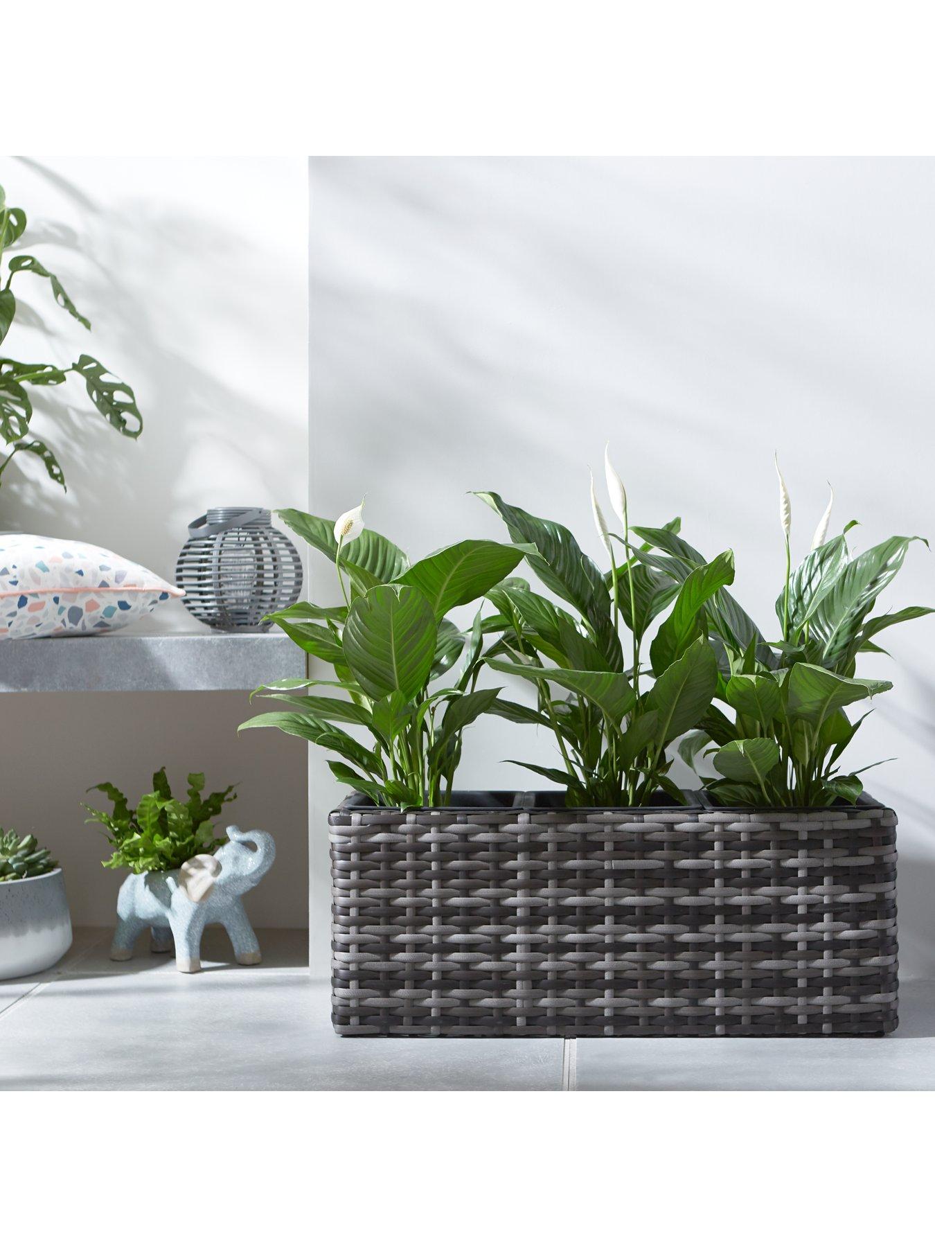 very-home-aruba-trough-shaped-rattan-planterfront