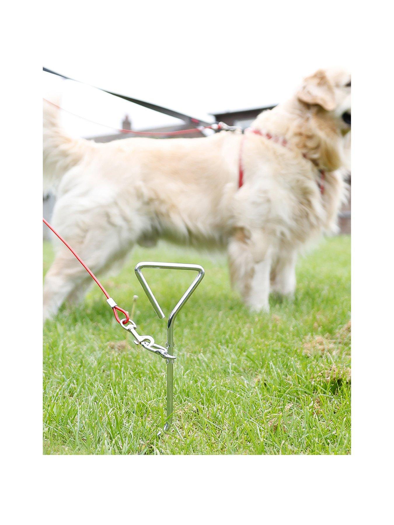 Streetwize Caravan/Camping Dog Tether W/ 4m Lead