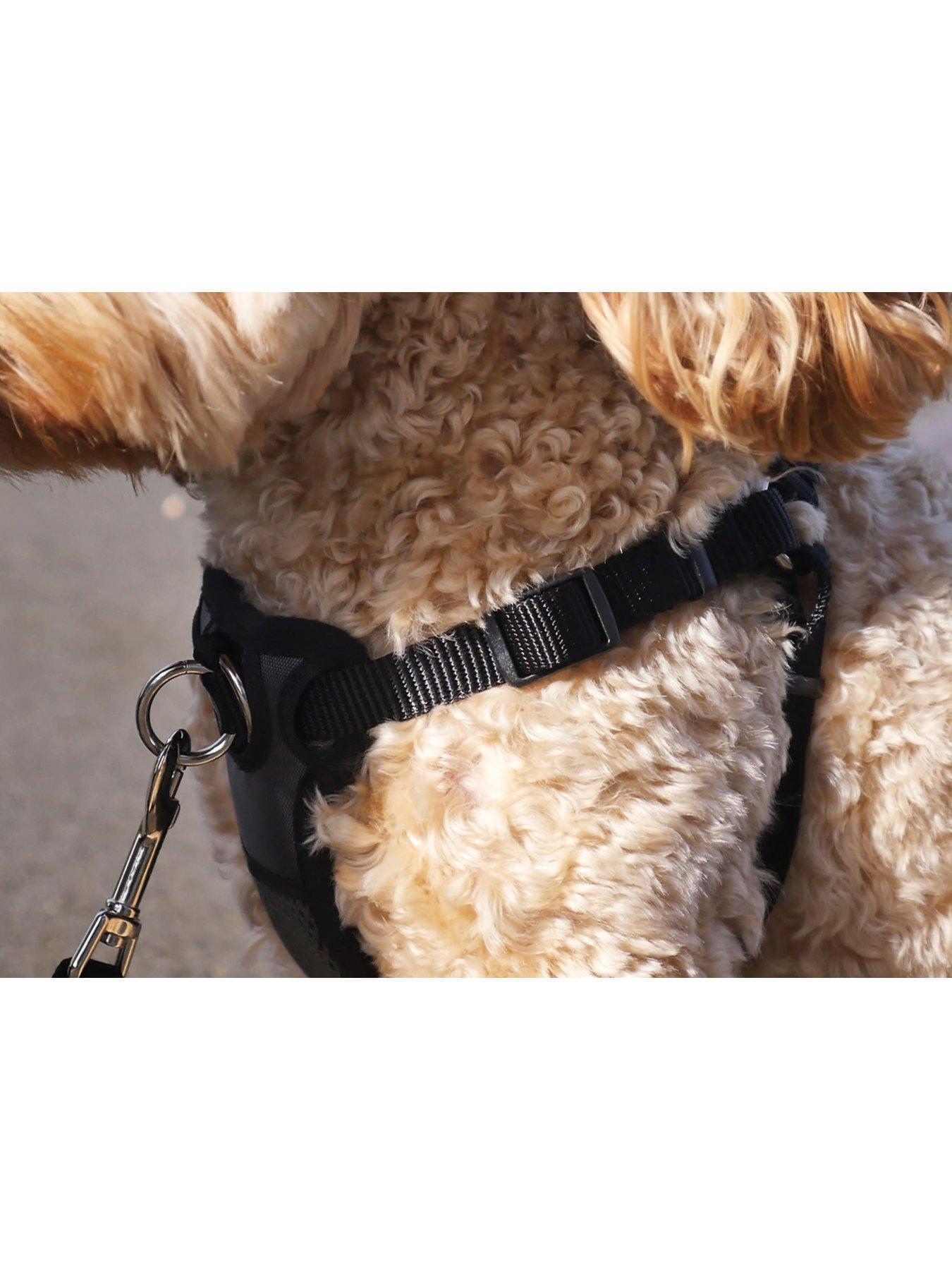 rosewood-front-connect-padded-dog-harness-largeback