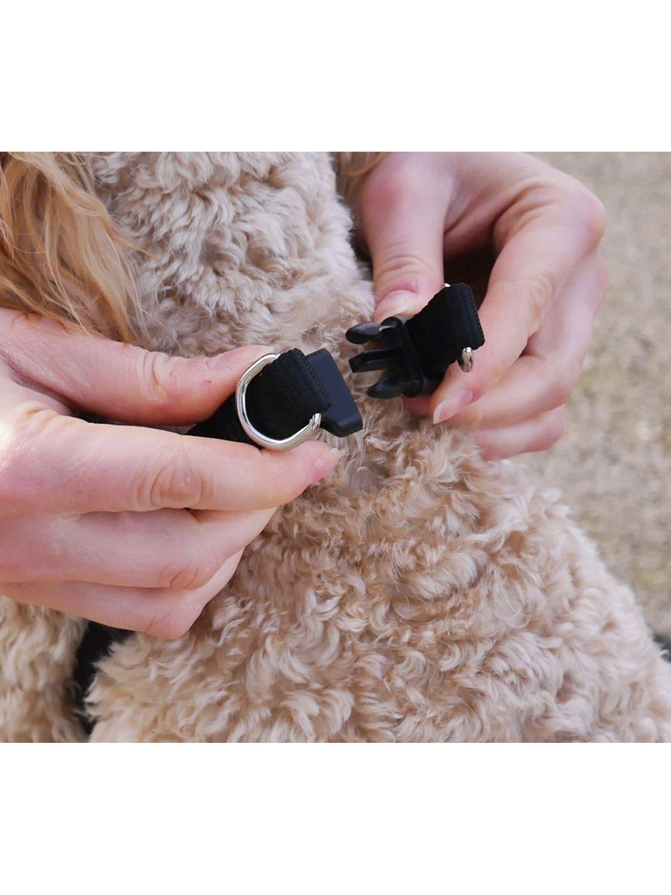 rosewood-front-connect-padded-dog-harness-largeoutfit