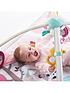 tiny-love-gyminireg-deluxe-musical-baby-play-mat-and-activity-gym-tiny-princessdetail