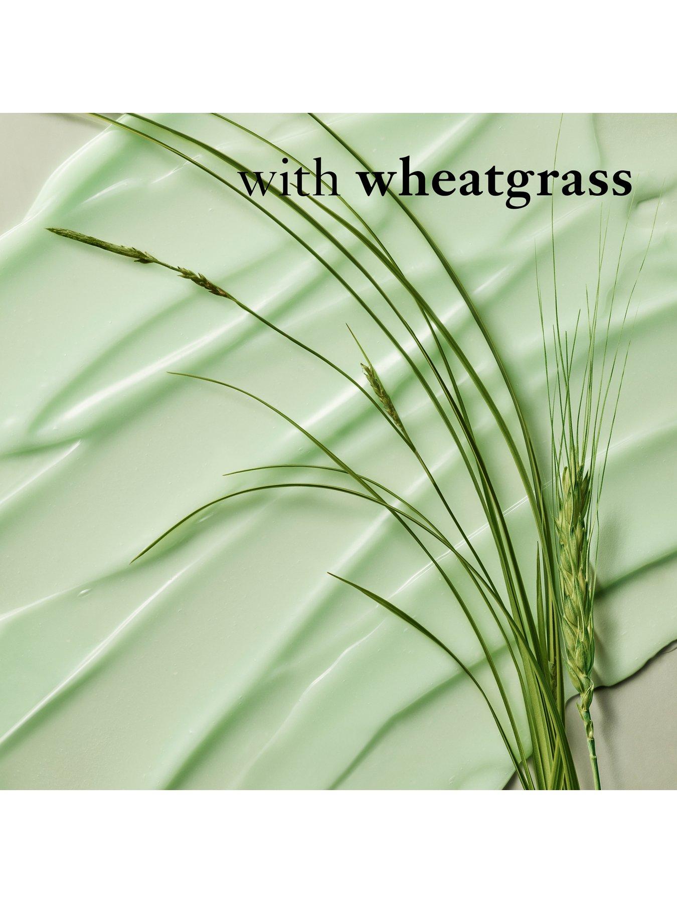 philosophy-nature-in-a-jar-wheatgrass-mask-74mloutfit