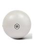 reebok-weighted-base-gymball-with-pumpnbsp55cmstillFront