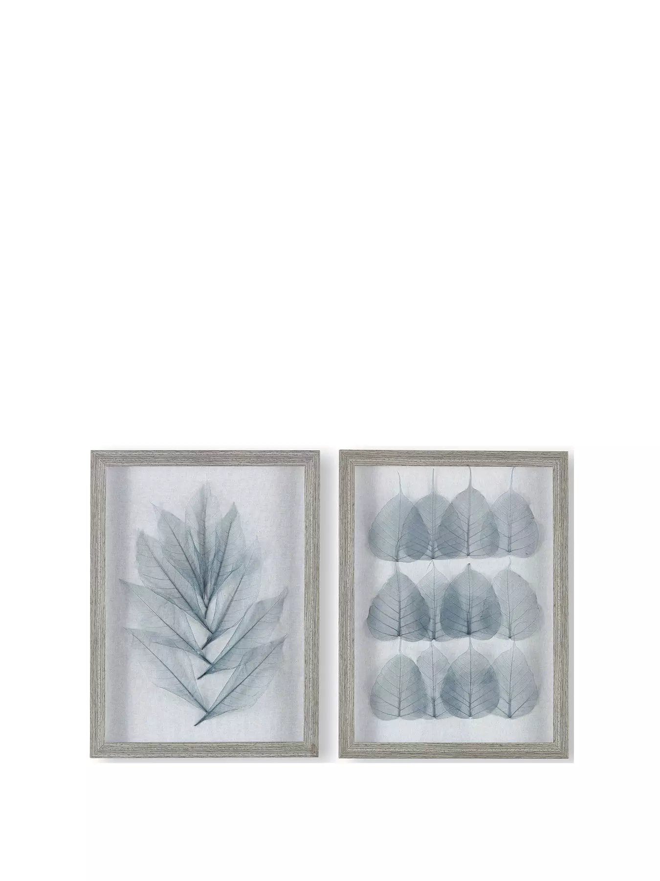 prod1090435707: Set Of 2 Delicate Leaves Framed Art