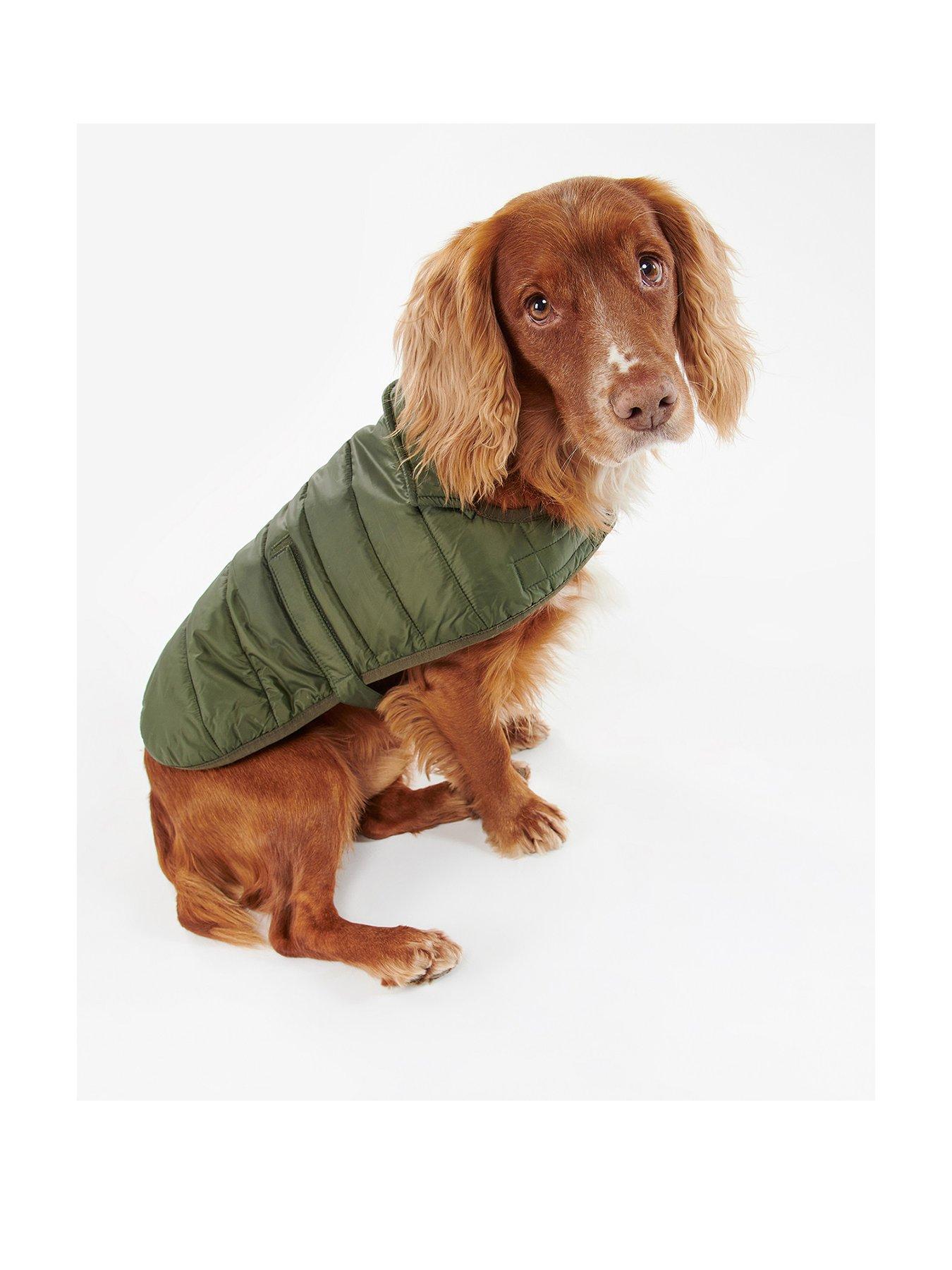 Expensive!!  Pet fashion, Vivienne westwood, Dog coats