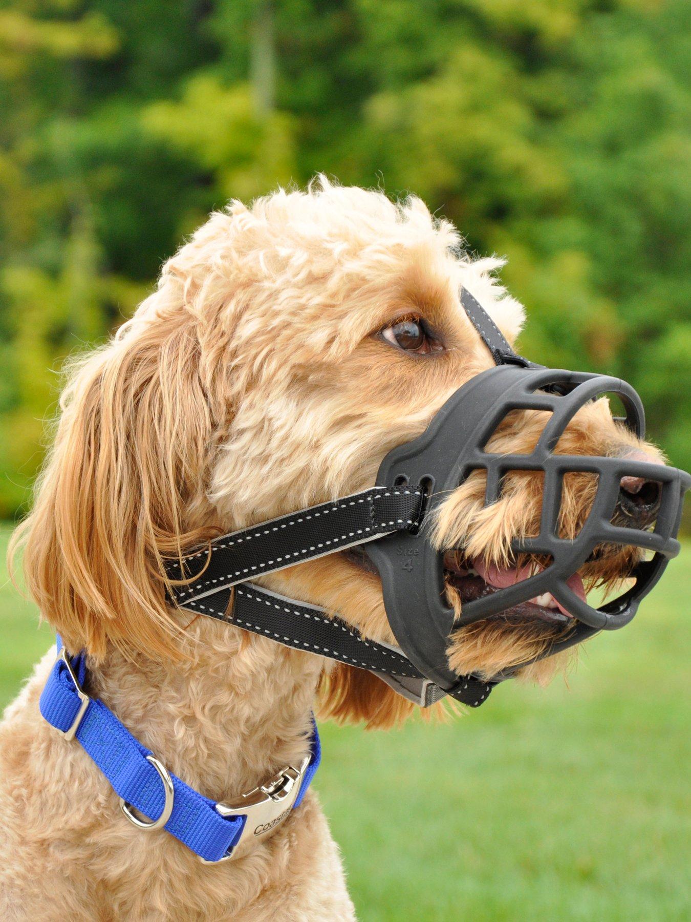 rosewood-coastal-soft-basket-muzzle-black-size-4outfit