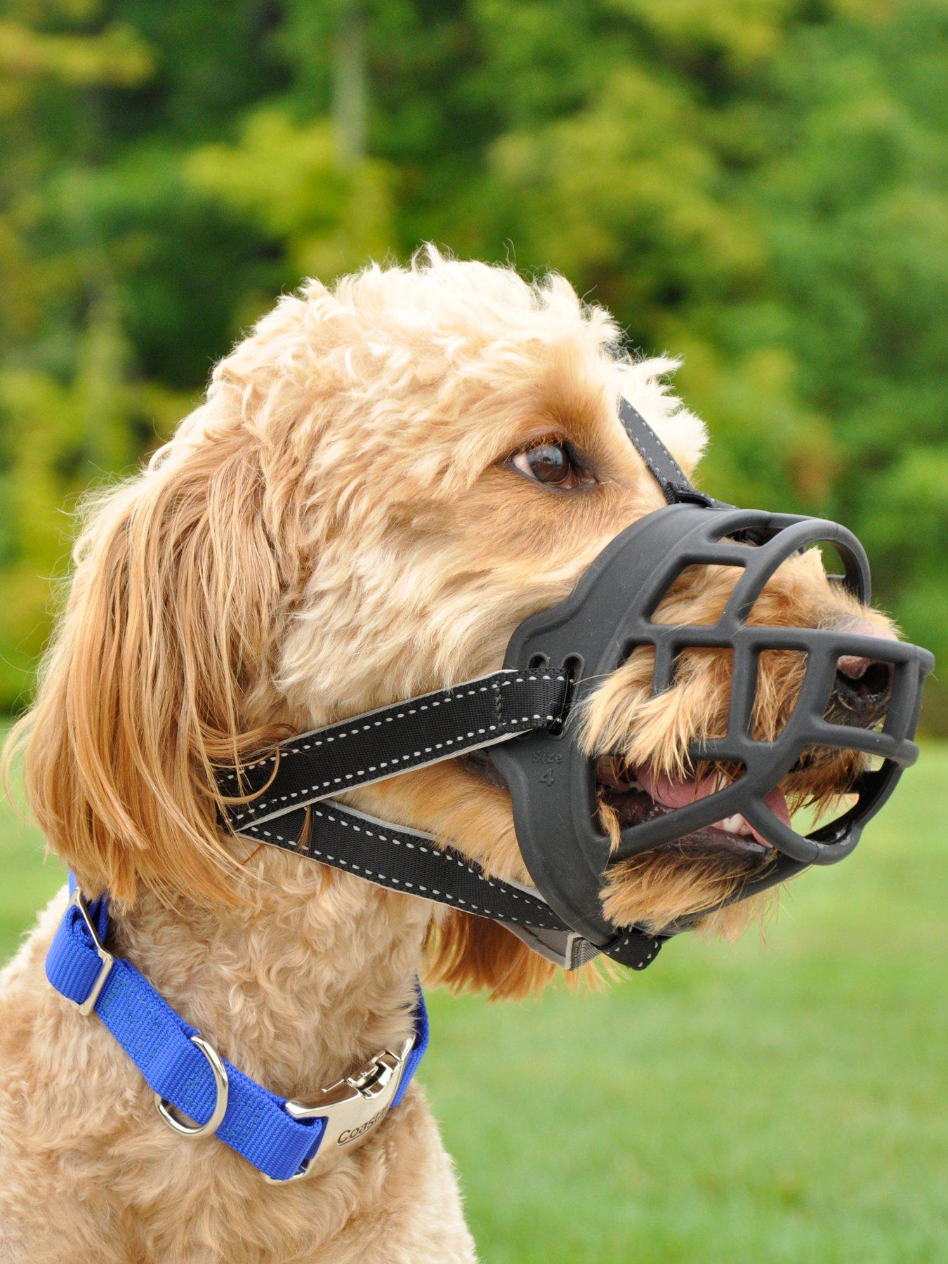 rosewood-coastal-soft-basket-muzzle-black-size-5outfit