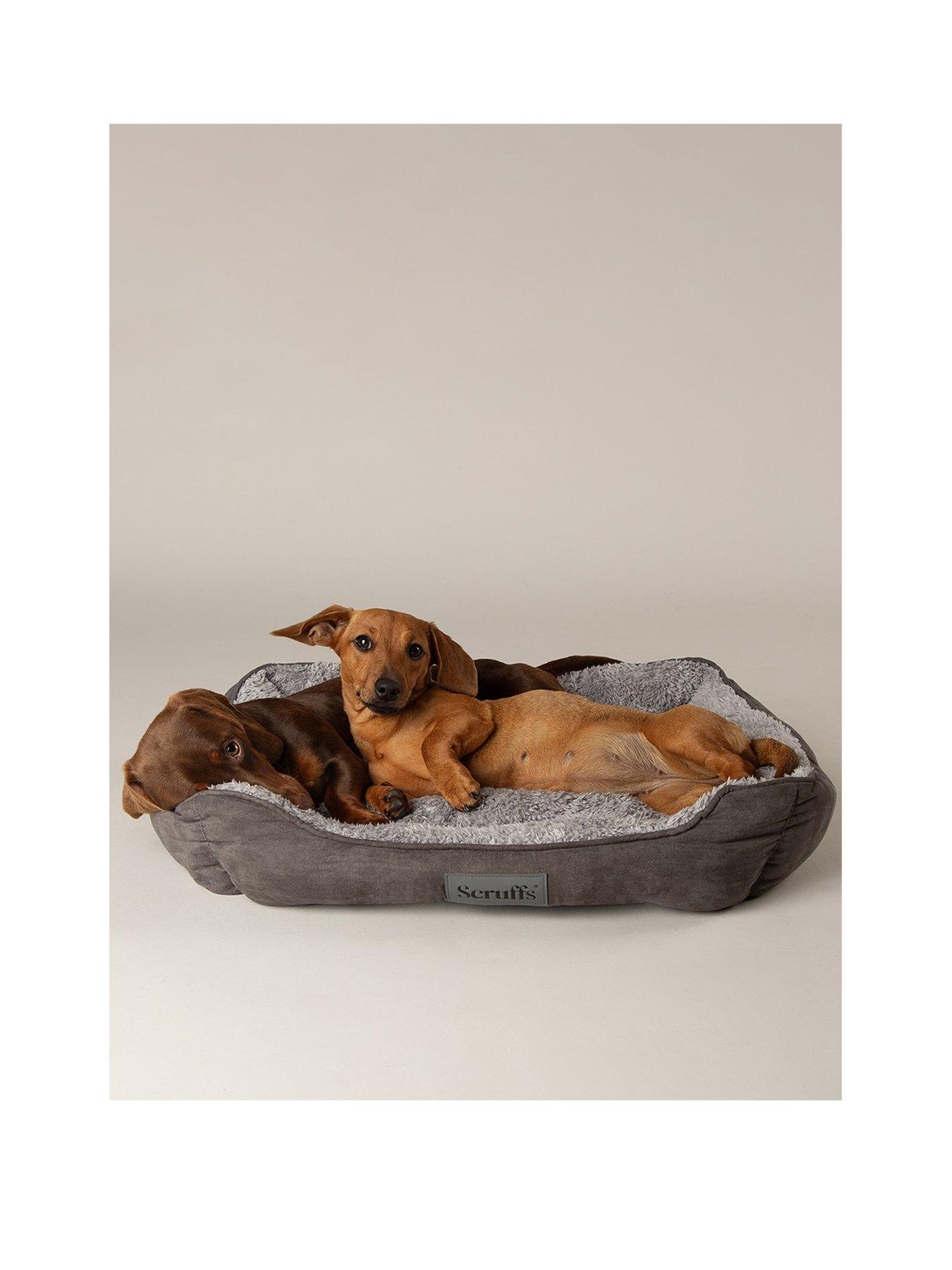 scruffs-cosy-box-bed-grey