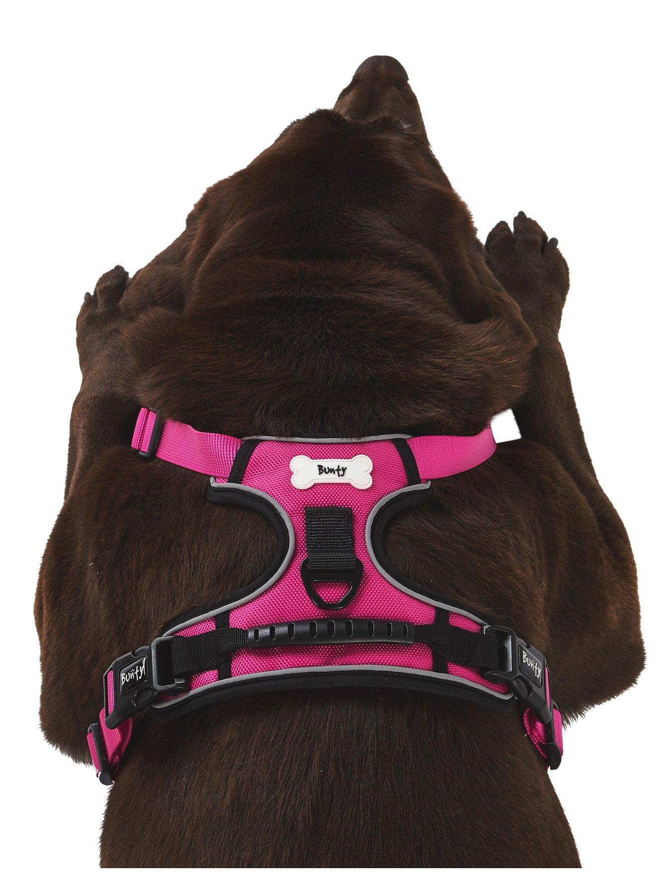 Bunty adventure harness best sale