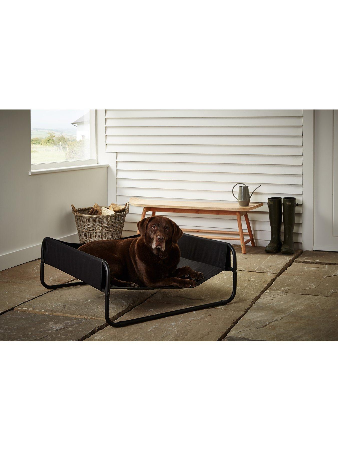 Bunty raised hot sale dog bed