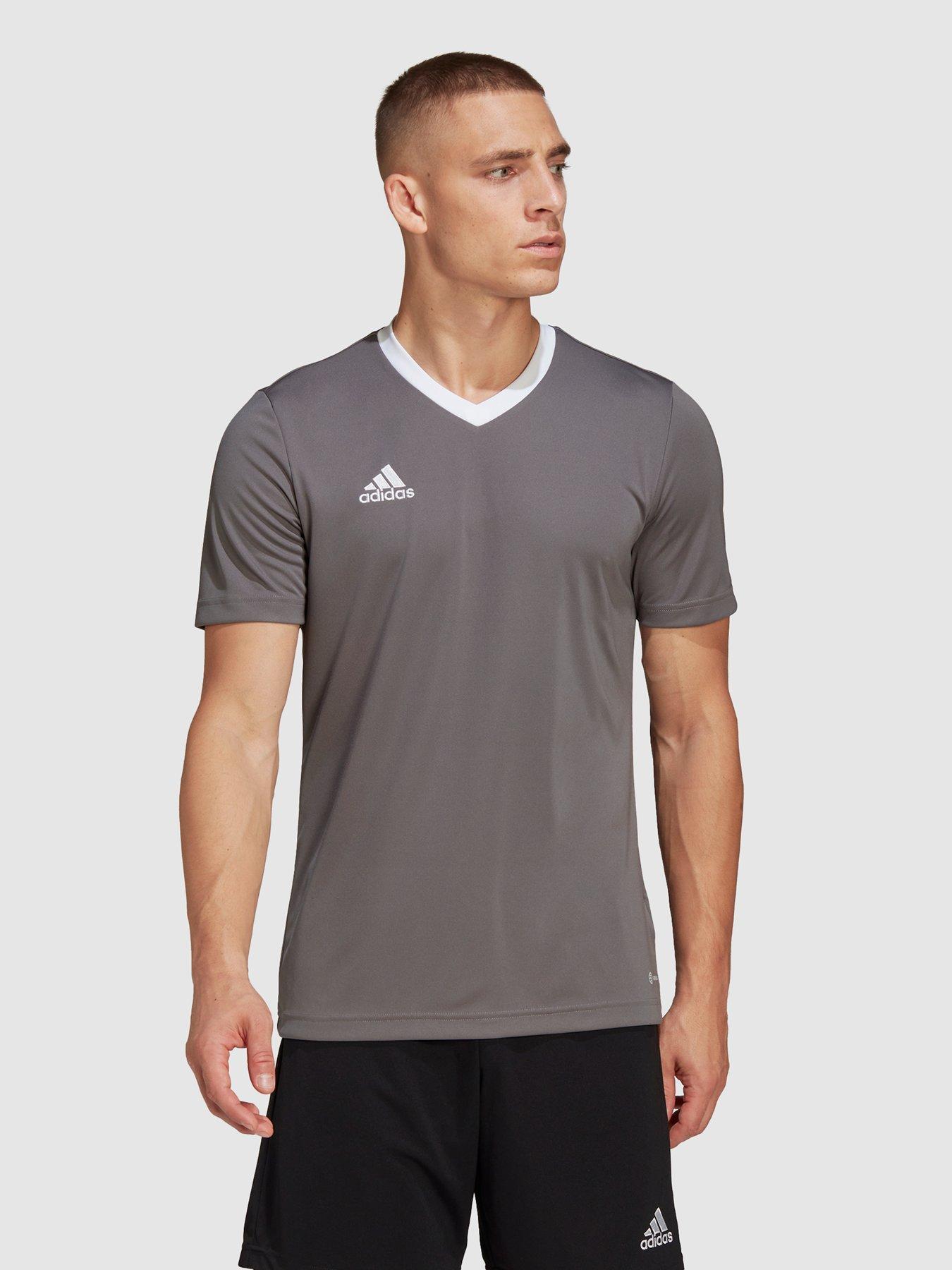 adidas Mens Entrada 22 Training Tee - Grey