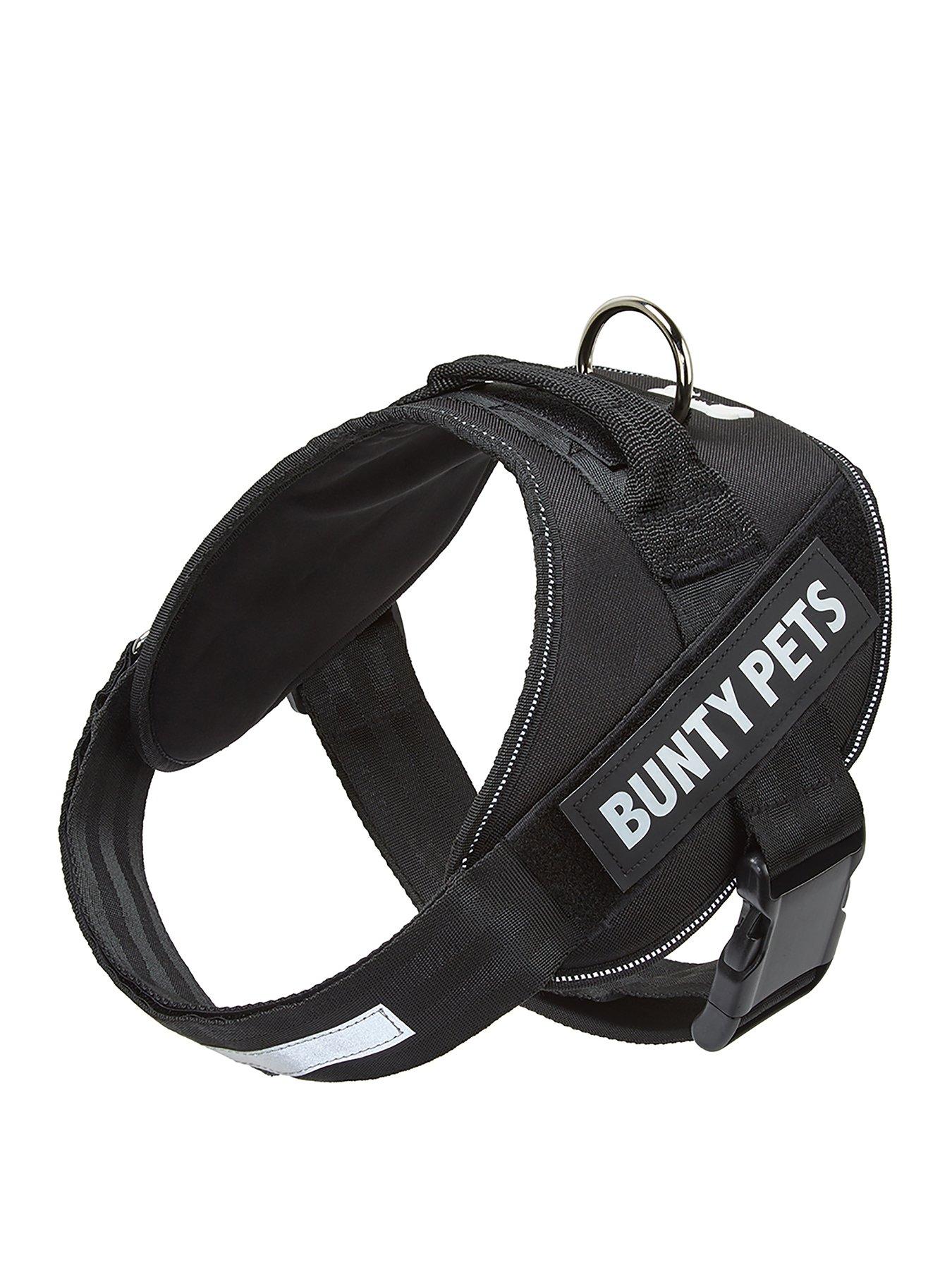 Bunty adventure harness best sale