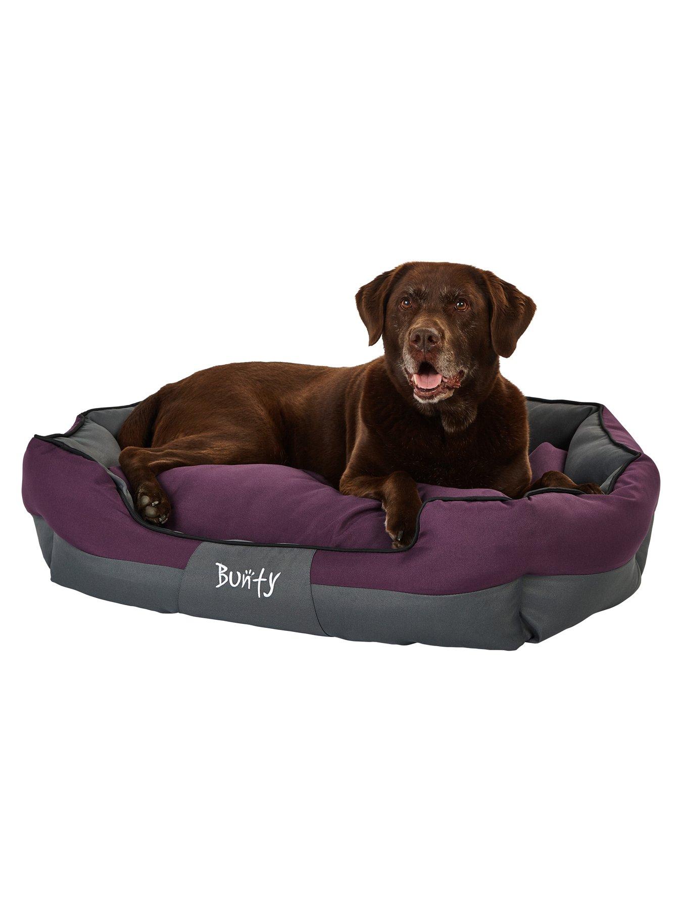 bunty-anchor-pet-bed-purple--nbspextra-largeoutfit