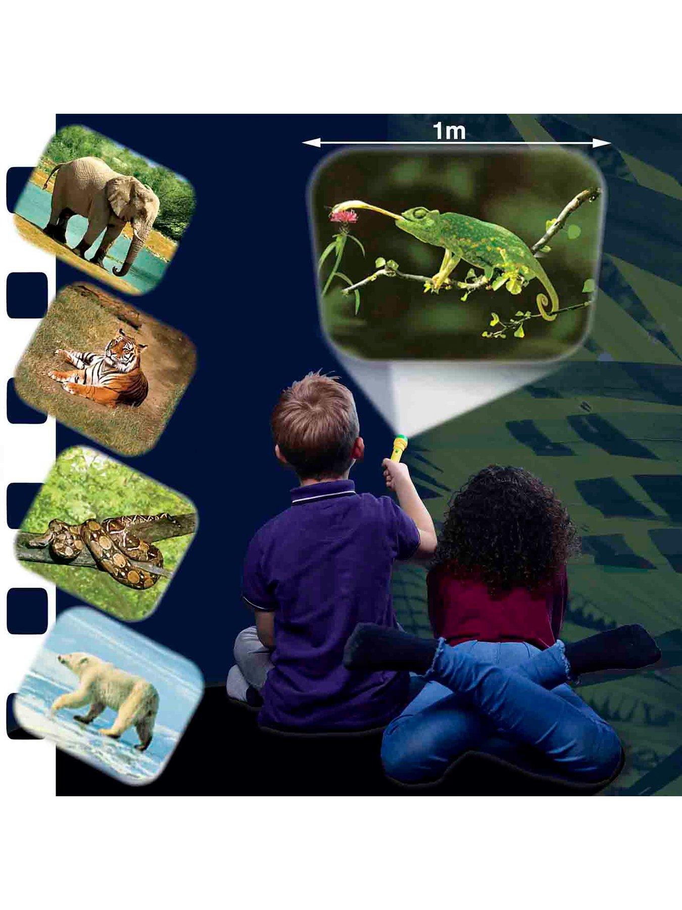 Image 6 of 7 of Space and Animal Torches & Projectors (2 pack)