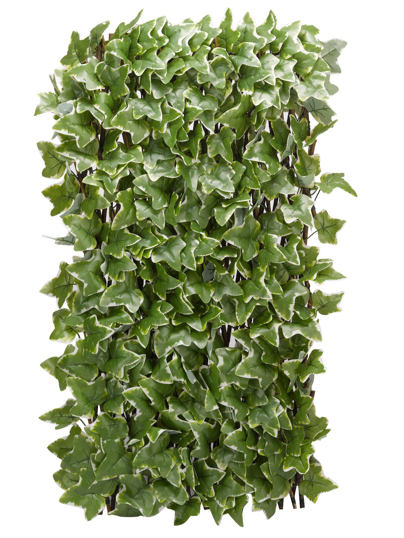 smart-garden-ivy-leaf-trellis-180-x-60-cmstillFront