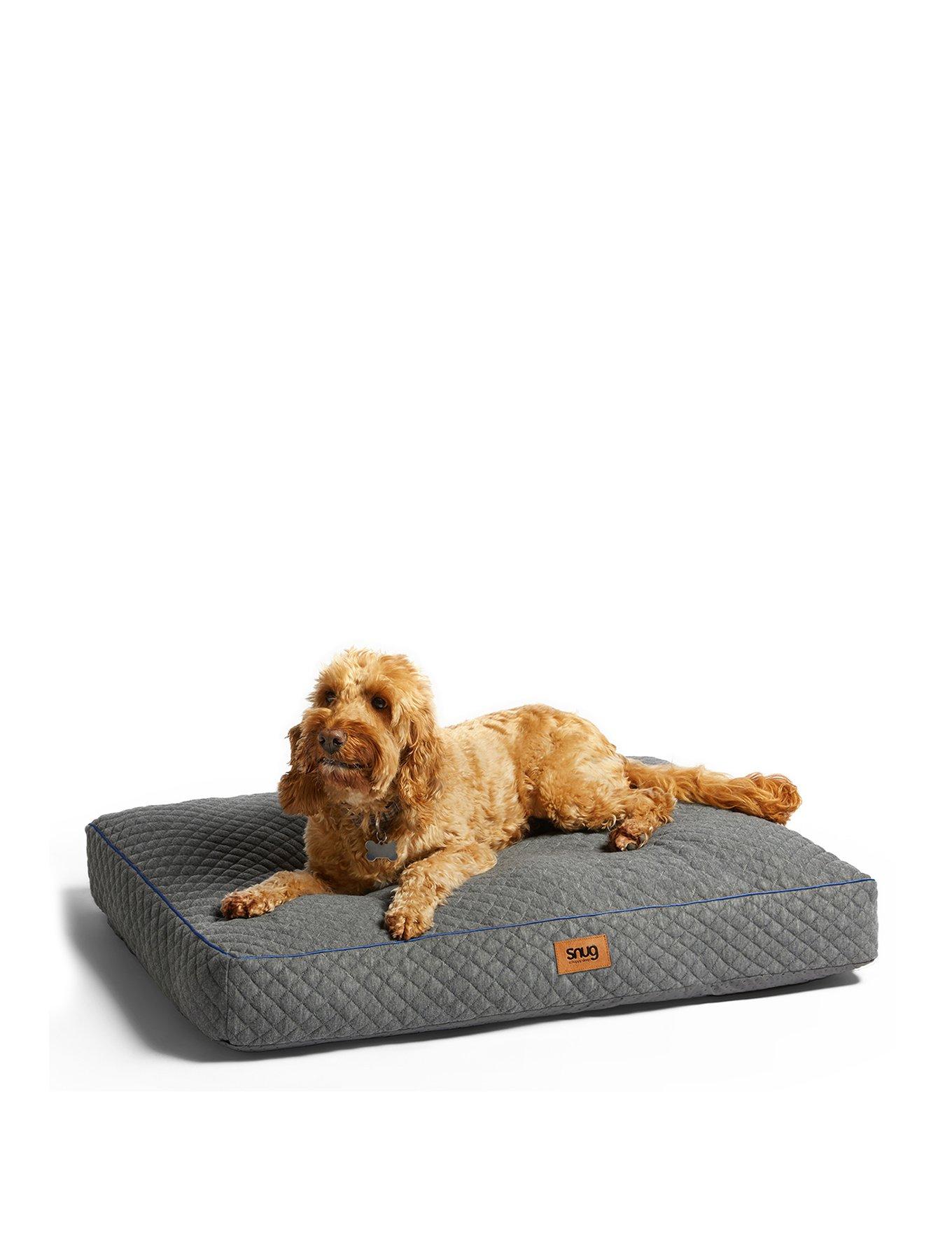 Cheap dog beds clearance for sale