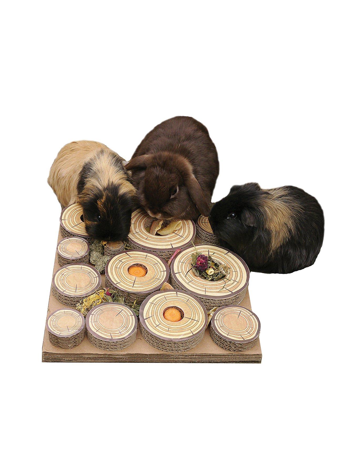 Rosewood Maze-A-Log Treat Challenge in One Colour