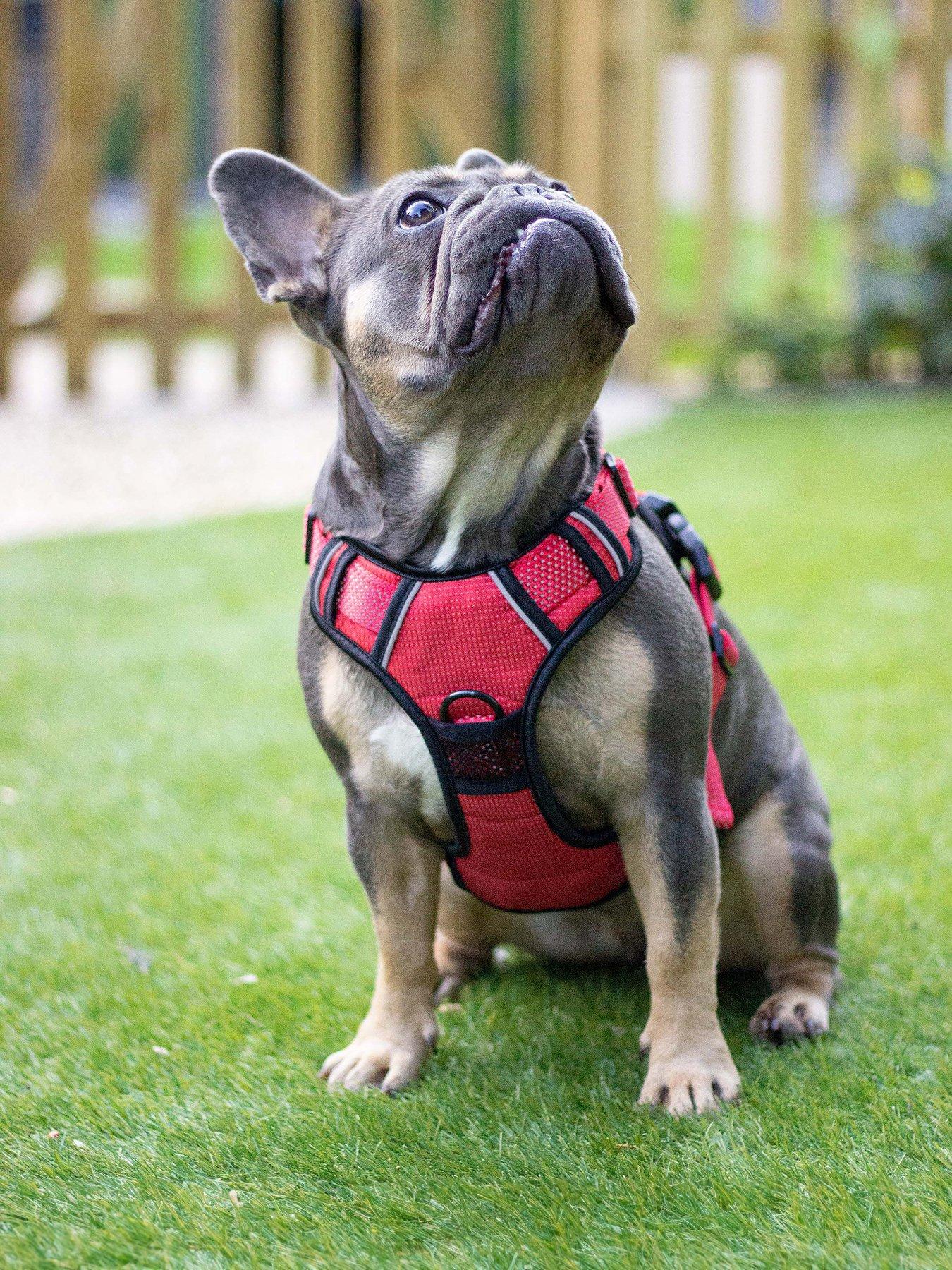 rosewood-reflective-dog-harness--nbspmedium-red