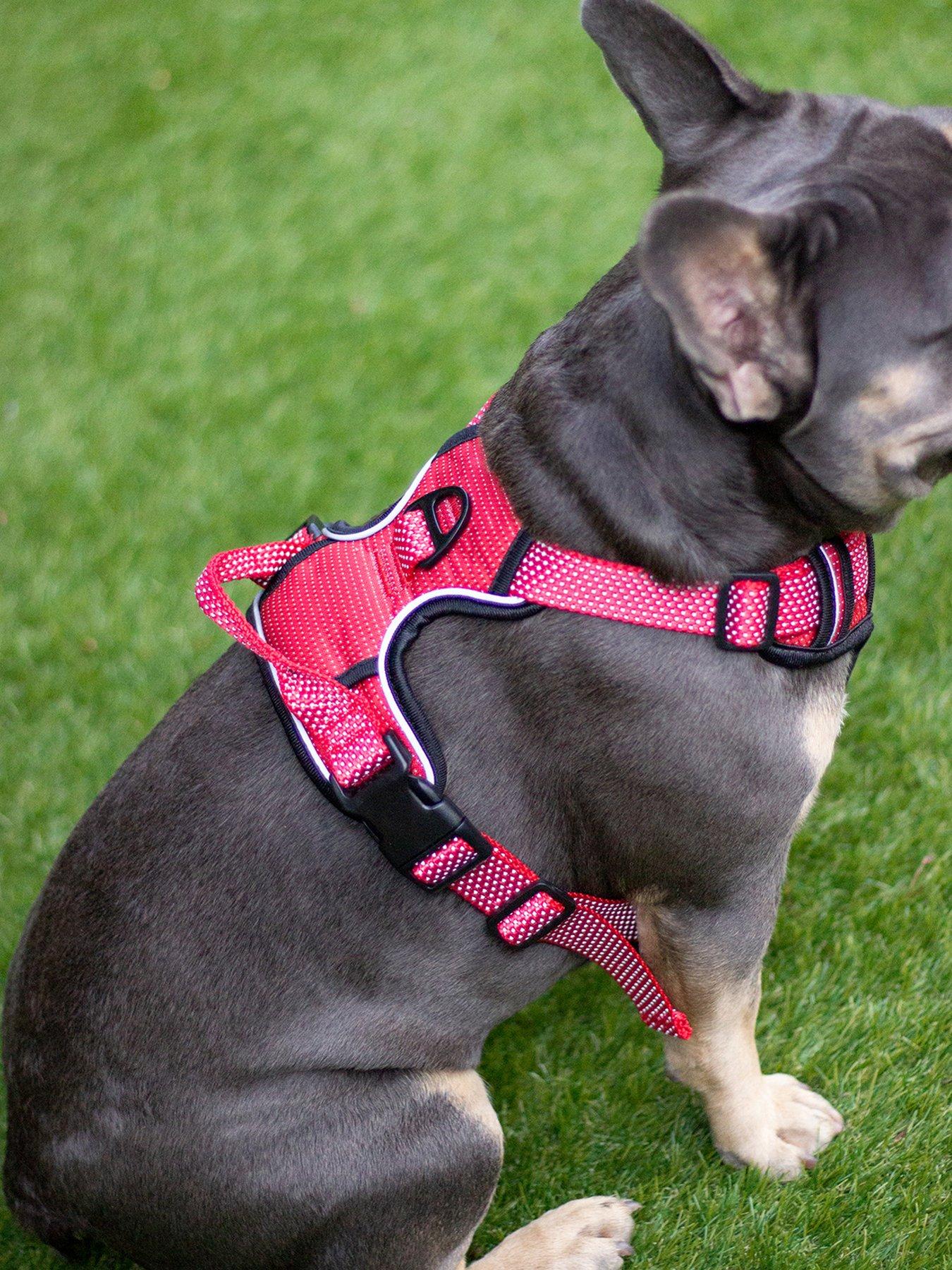 rosewood-reflective-dog-harness--nbspmedium-reddetail