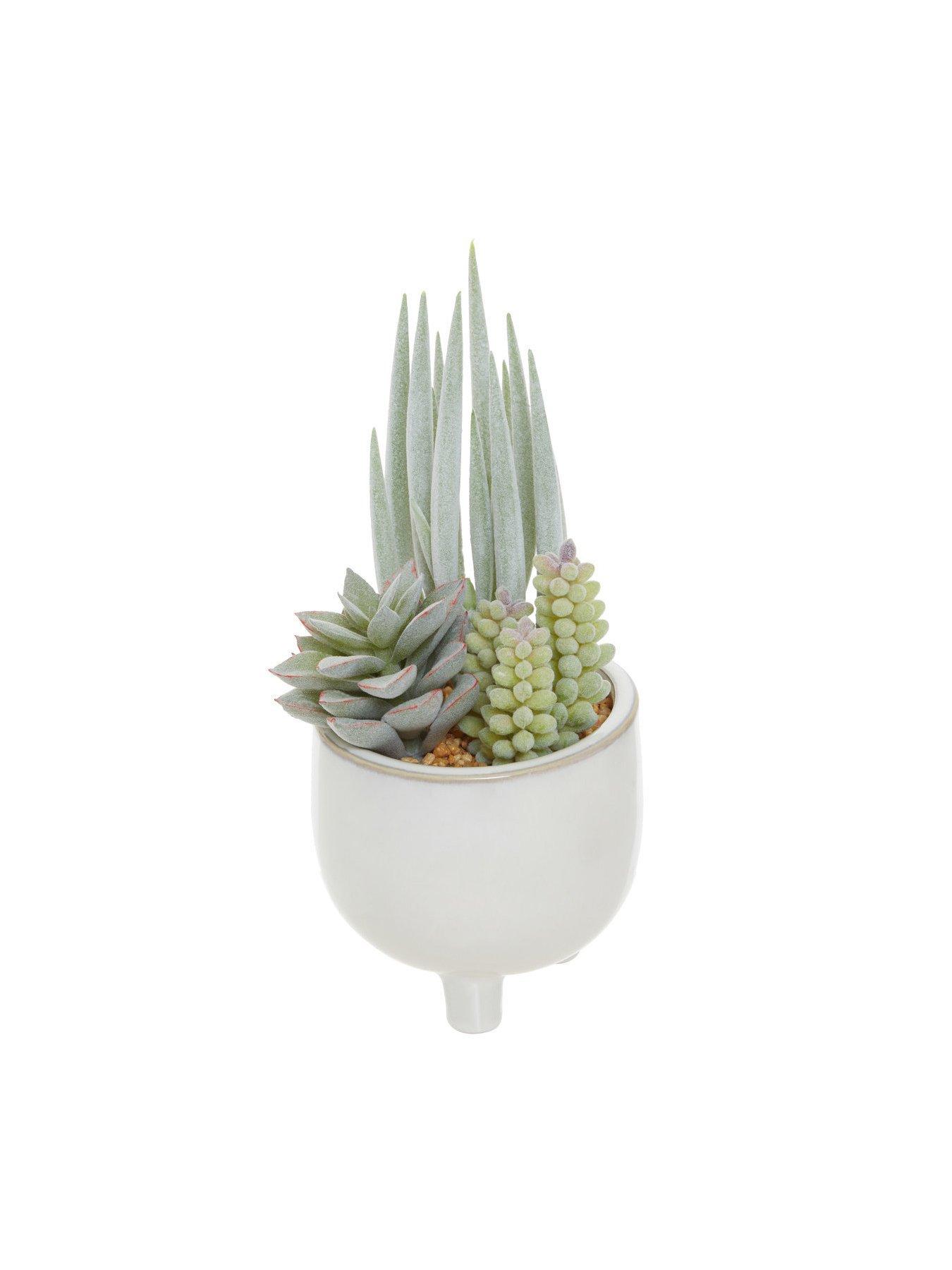 premier-housewares-fiori-mixed-succulents-in-white-potstillFront