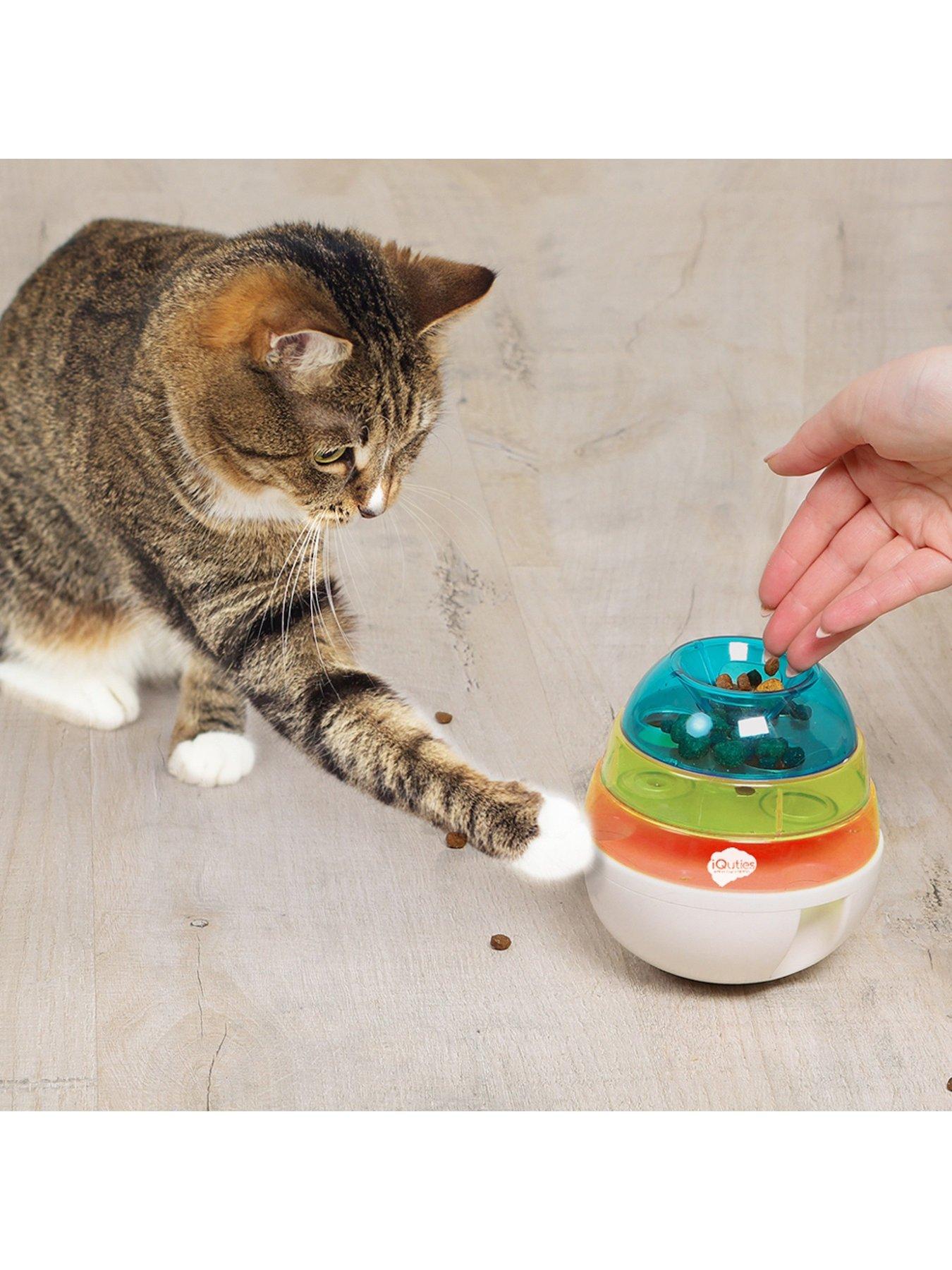 iquties-interactive-iq-cat-toystillFront