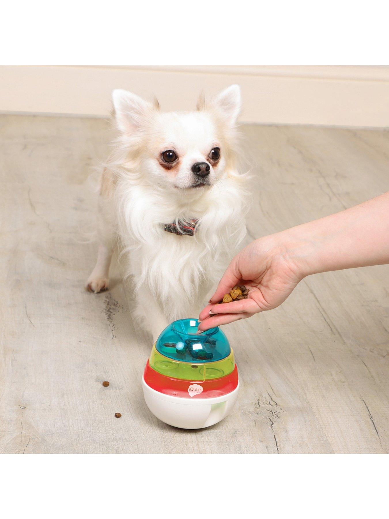 iquties-interactive-iq-cat-toyback
