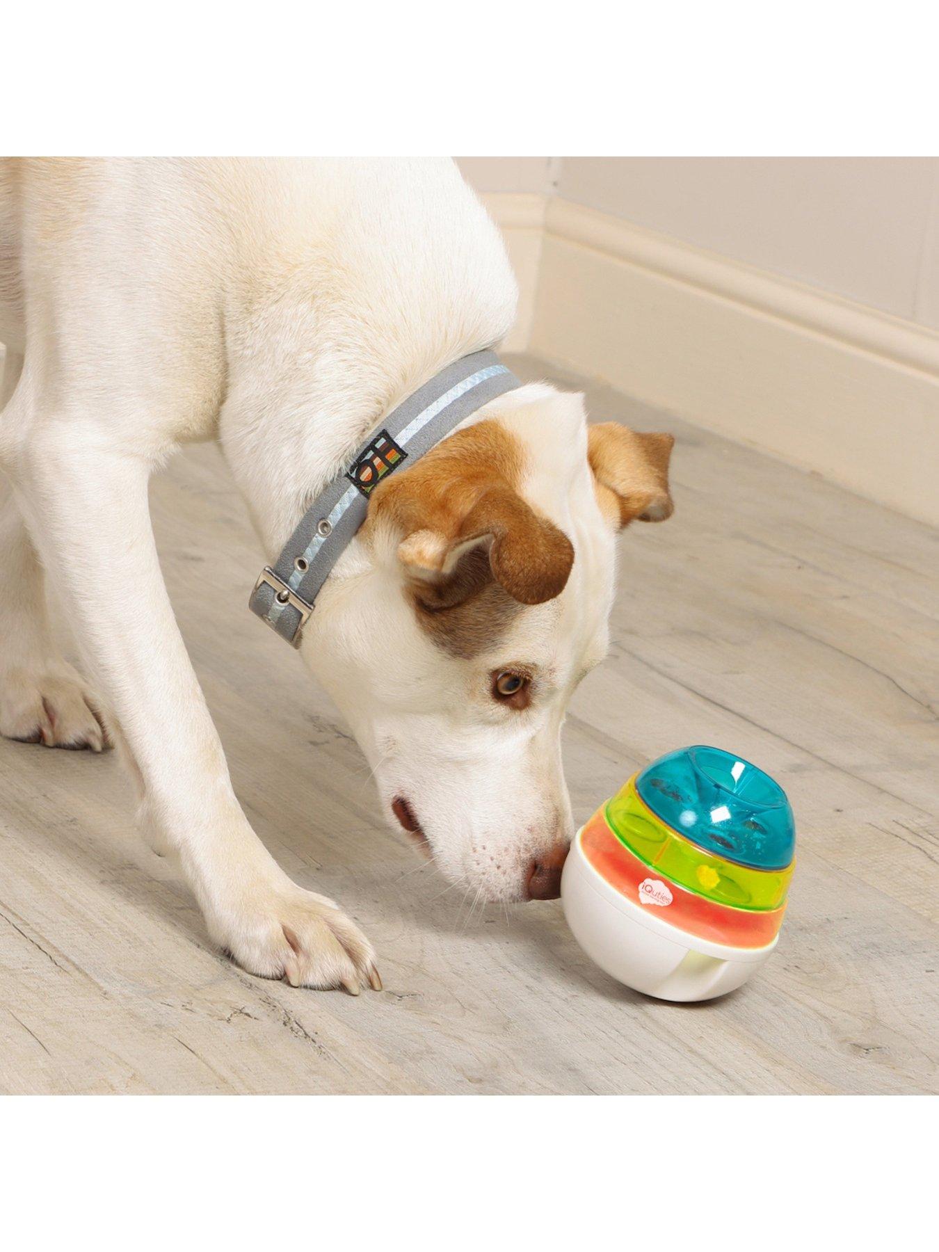 iquties-interactive-iq-cat-toyoutfit
