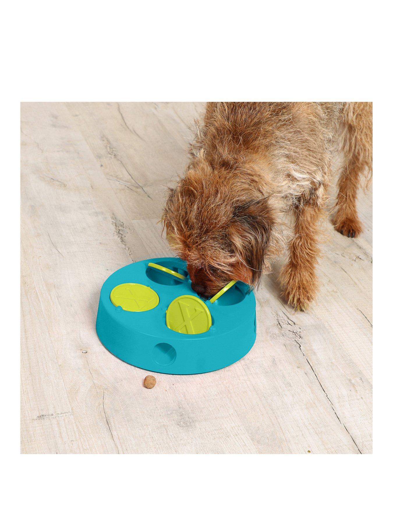 Iquties Pet Puzzle Iq Toy in One Colour