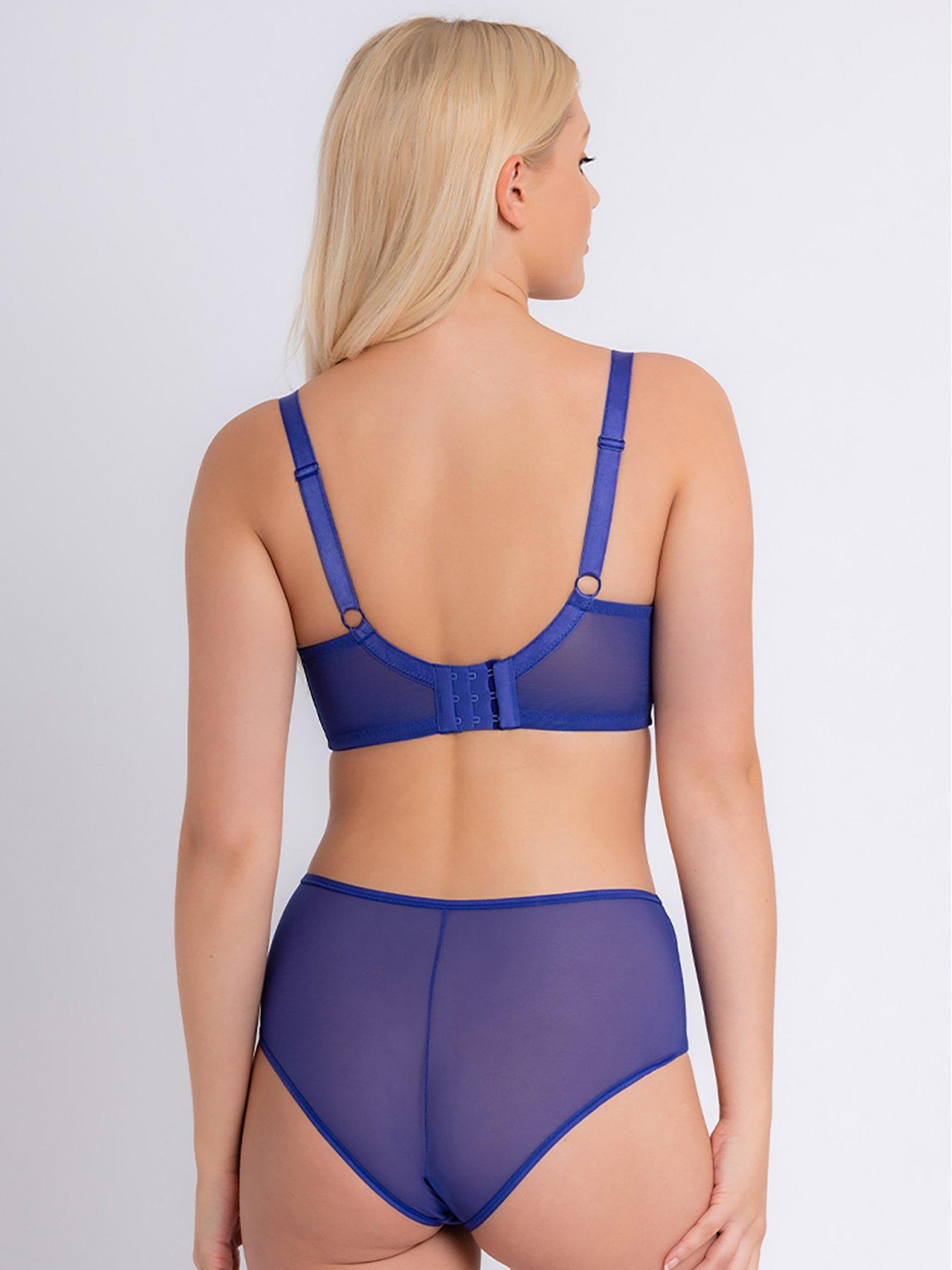 curvy-kate-victory-short-violetstillFront