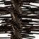 BLACK BROWN