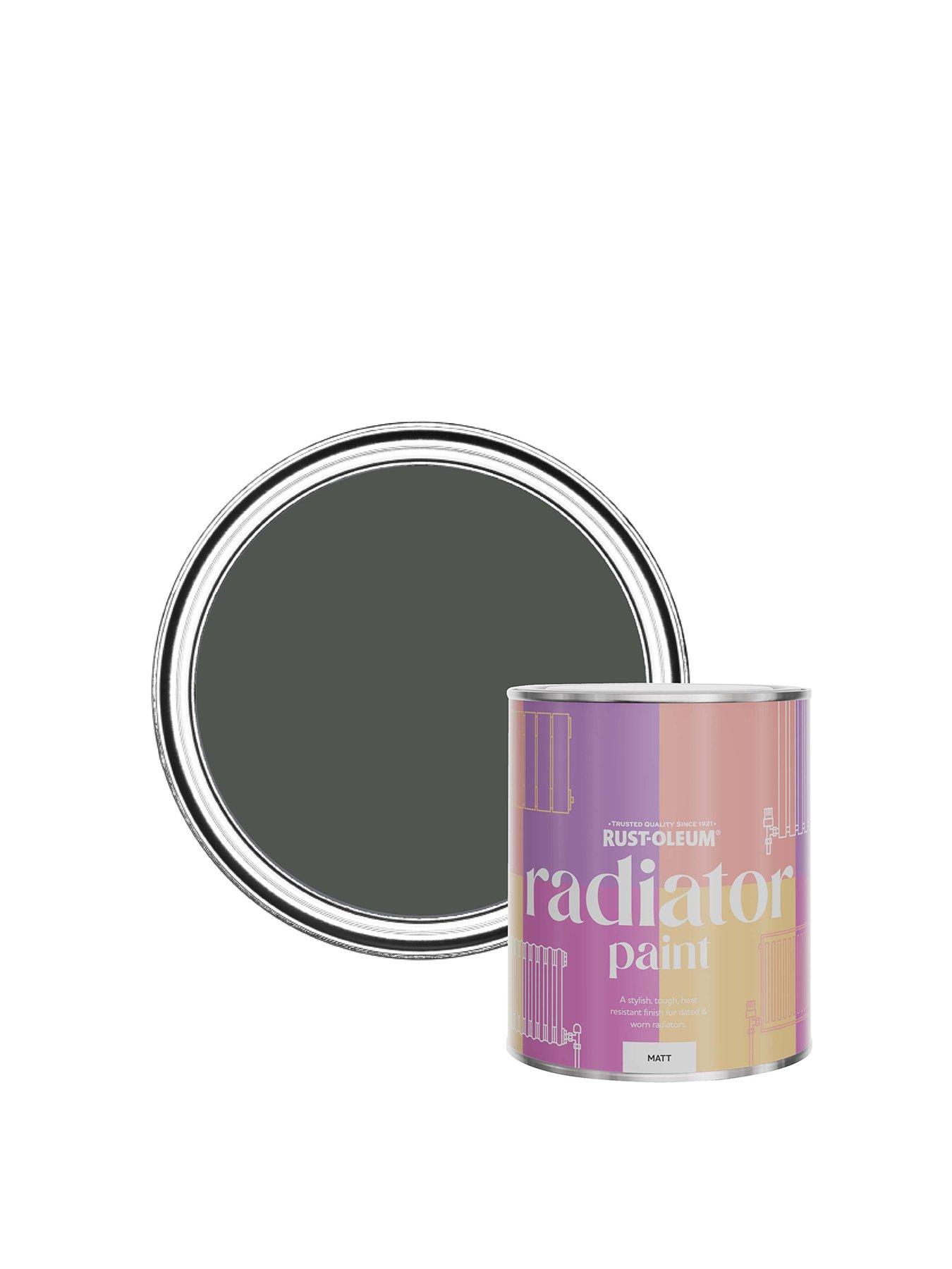 Image of Rust-Oleum Matt Finish 750 ml Radiator Paint – Graphite