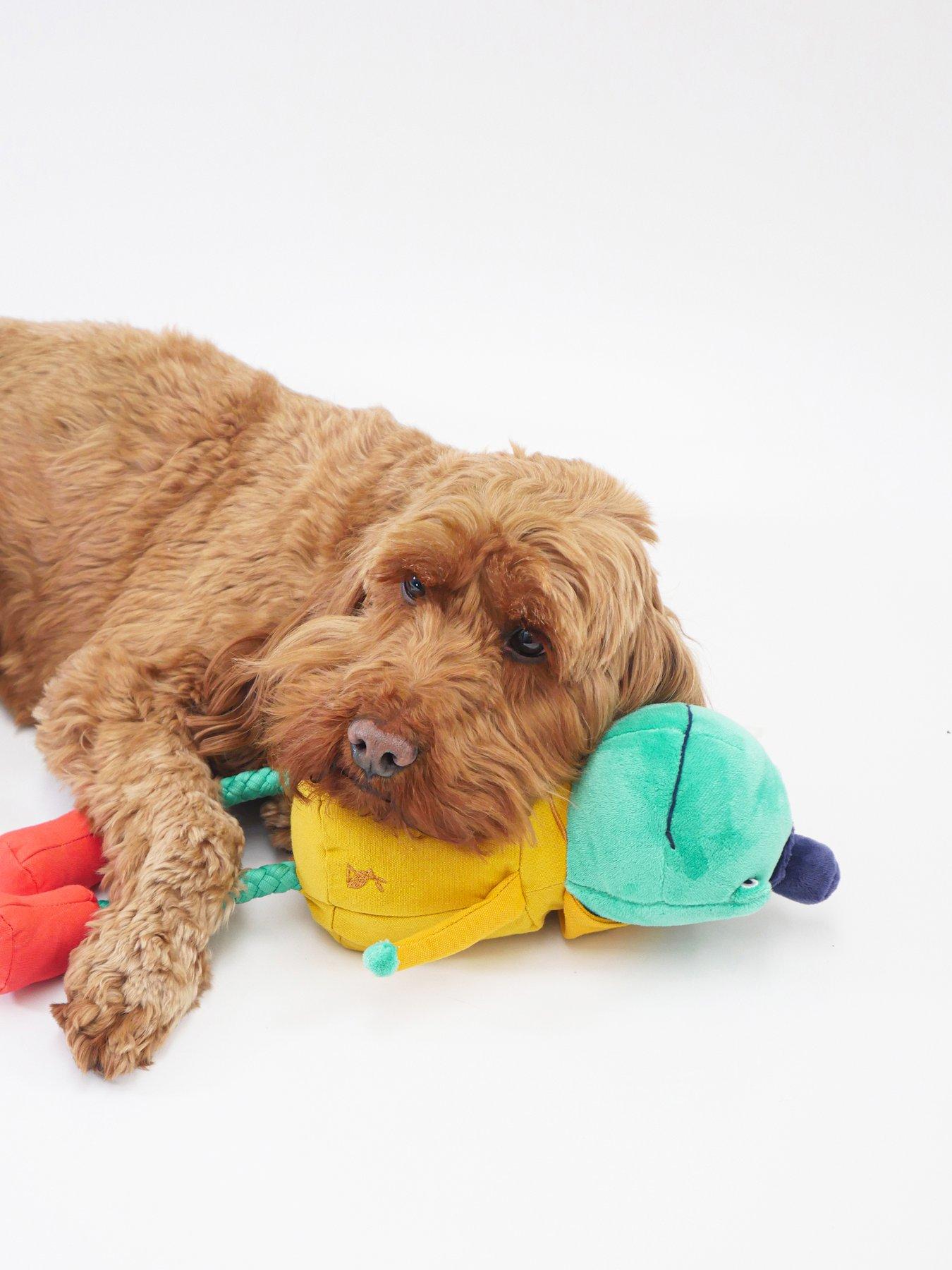 Image 6 of 6 of Joules Frog Dog Toy