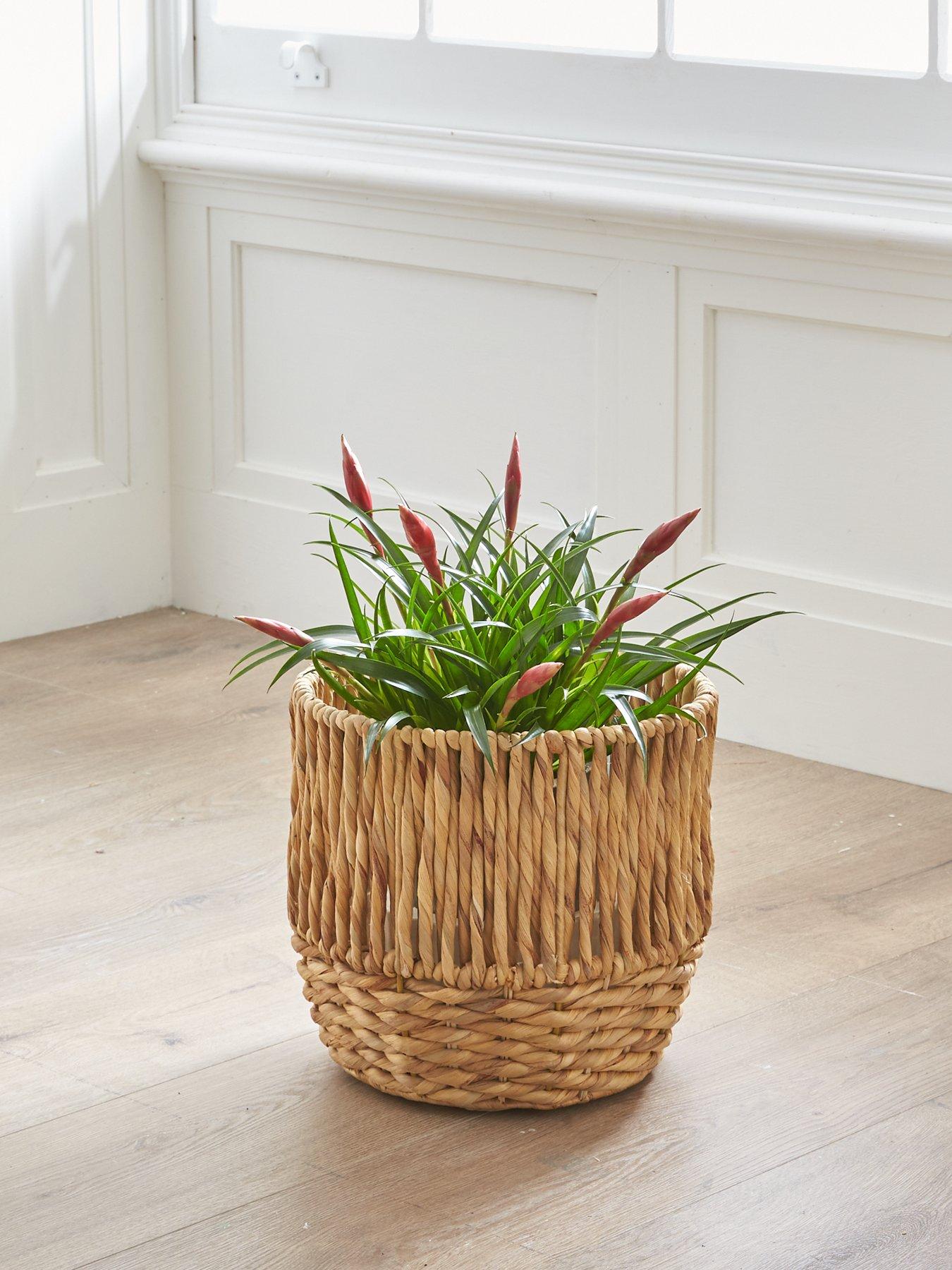 Image 1 of 5 of The Very Collection Water Hyacinth Planter