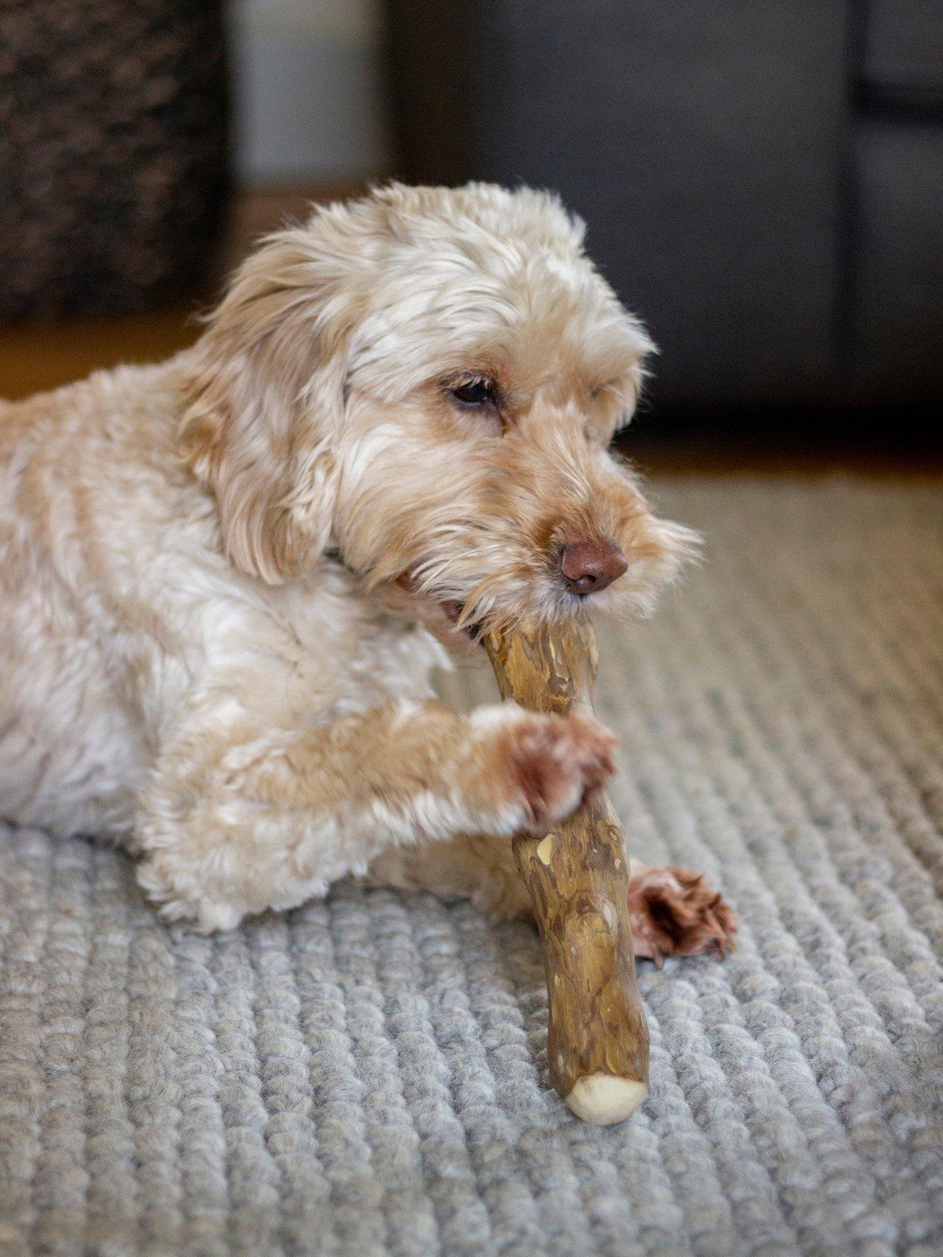 Rosewood Goodwood Dog Toy - Medium (230G - 350G) in One Colour