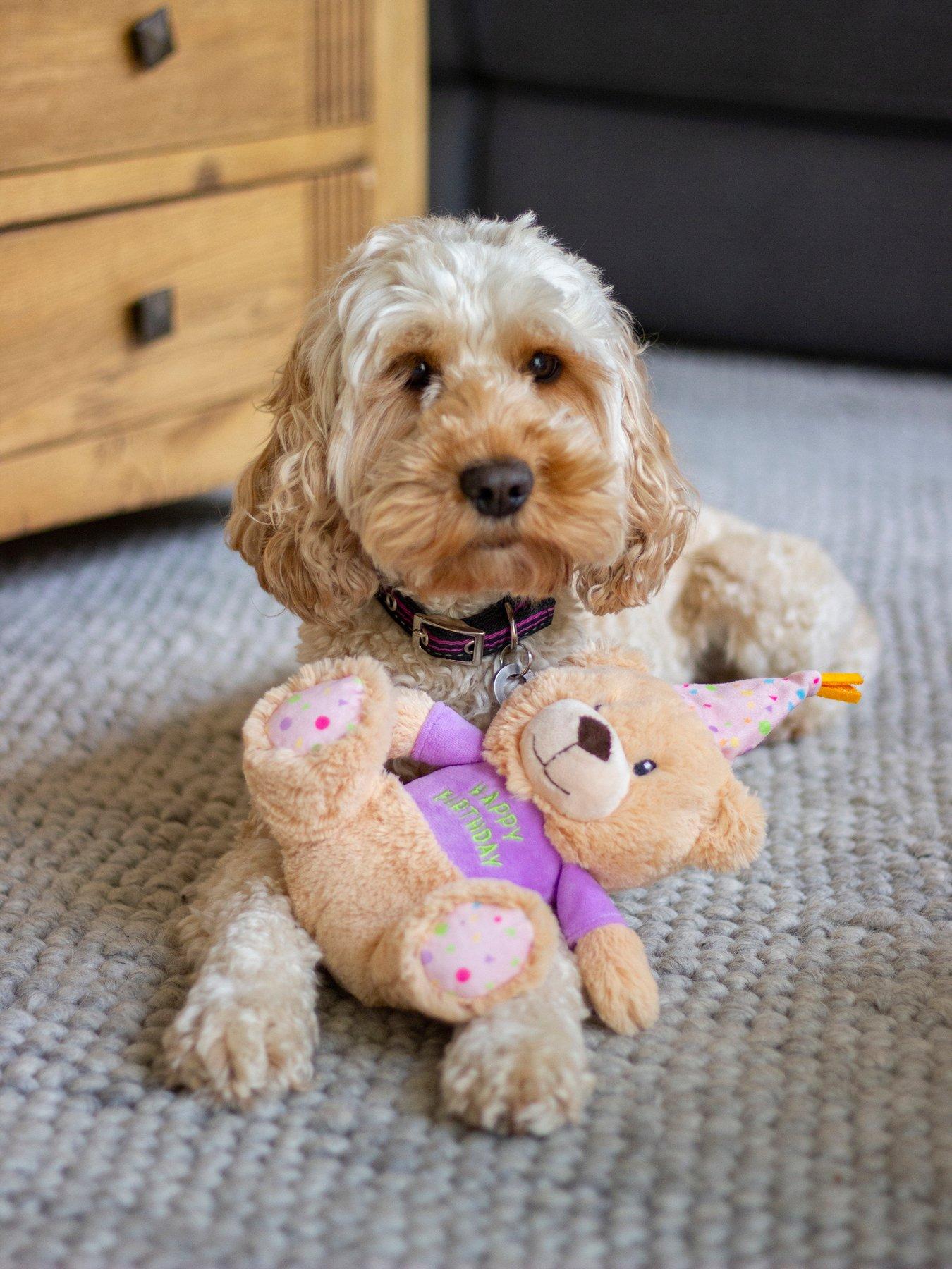 Rosewood Birthday Bear Plush Toy For Dogs