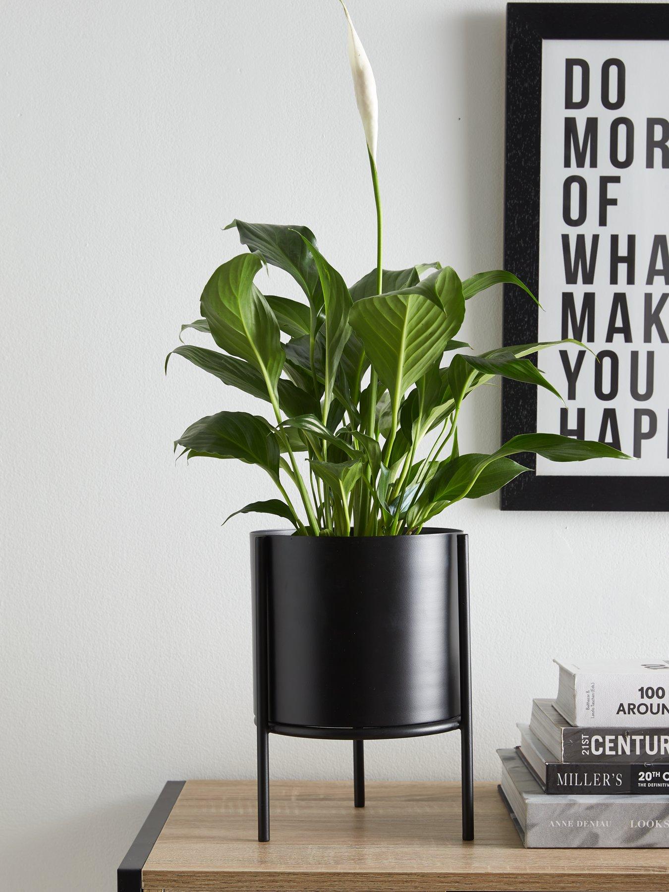 Very Home Standing Metal Planter - Black