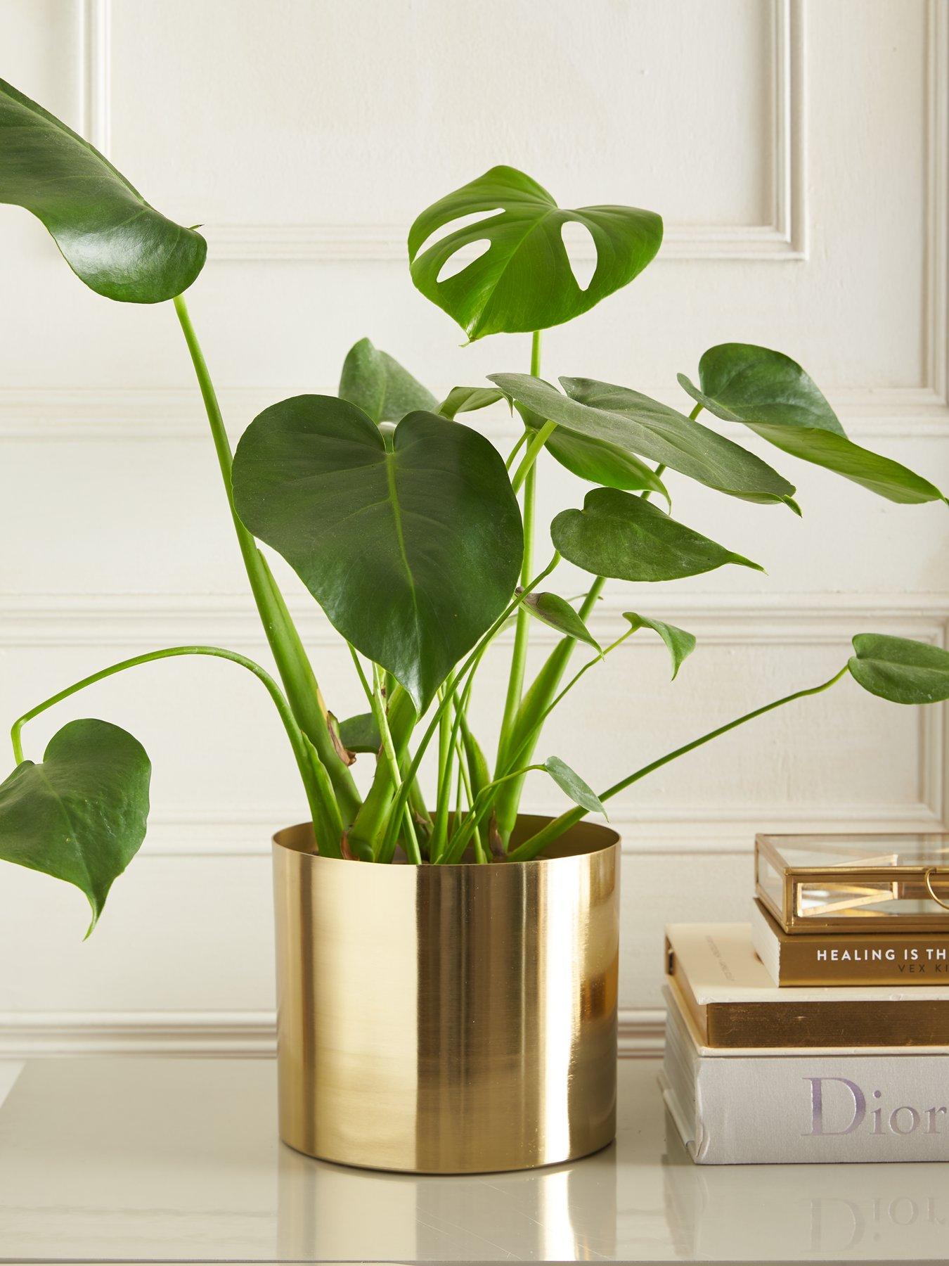 Image 1 of 4 of Michelle Keegan Home Gold Metal Planter