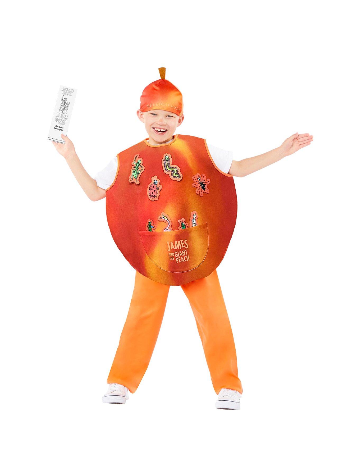 Image of Roald Dahl James And The Giant Peach Costume