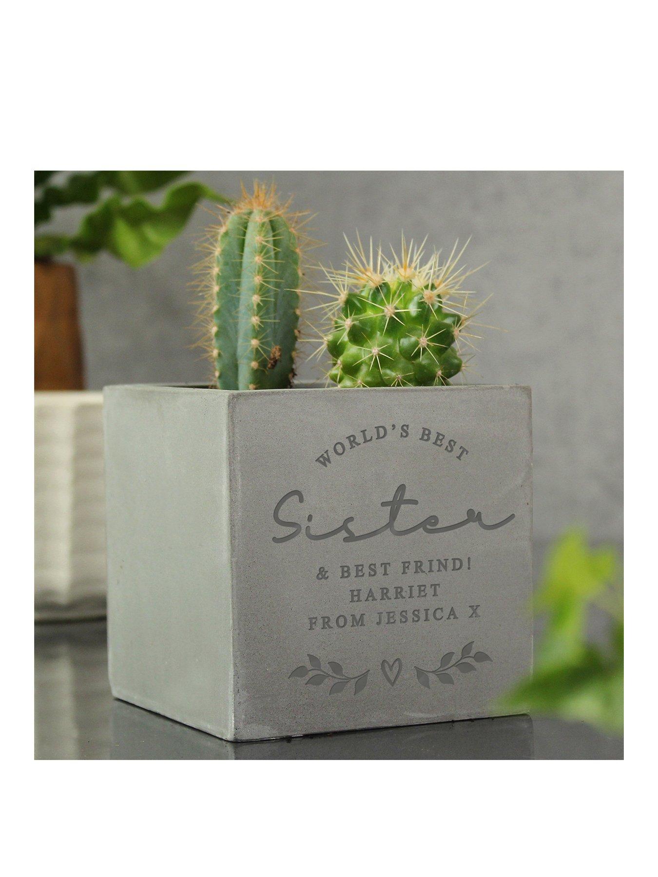 the-personalised-memento-company-personalised-worlds-best-concrete-pot