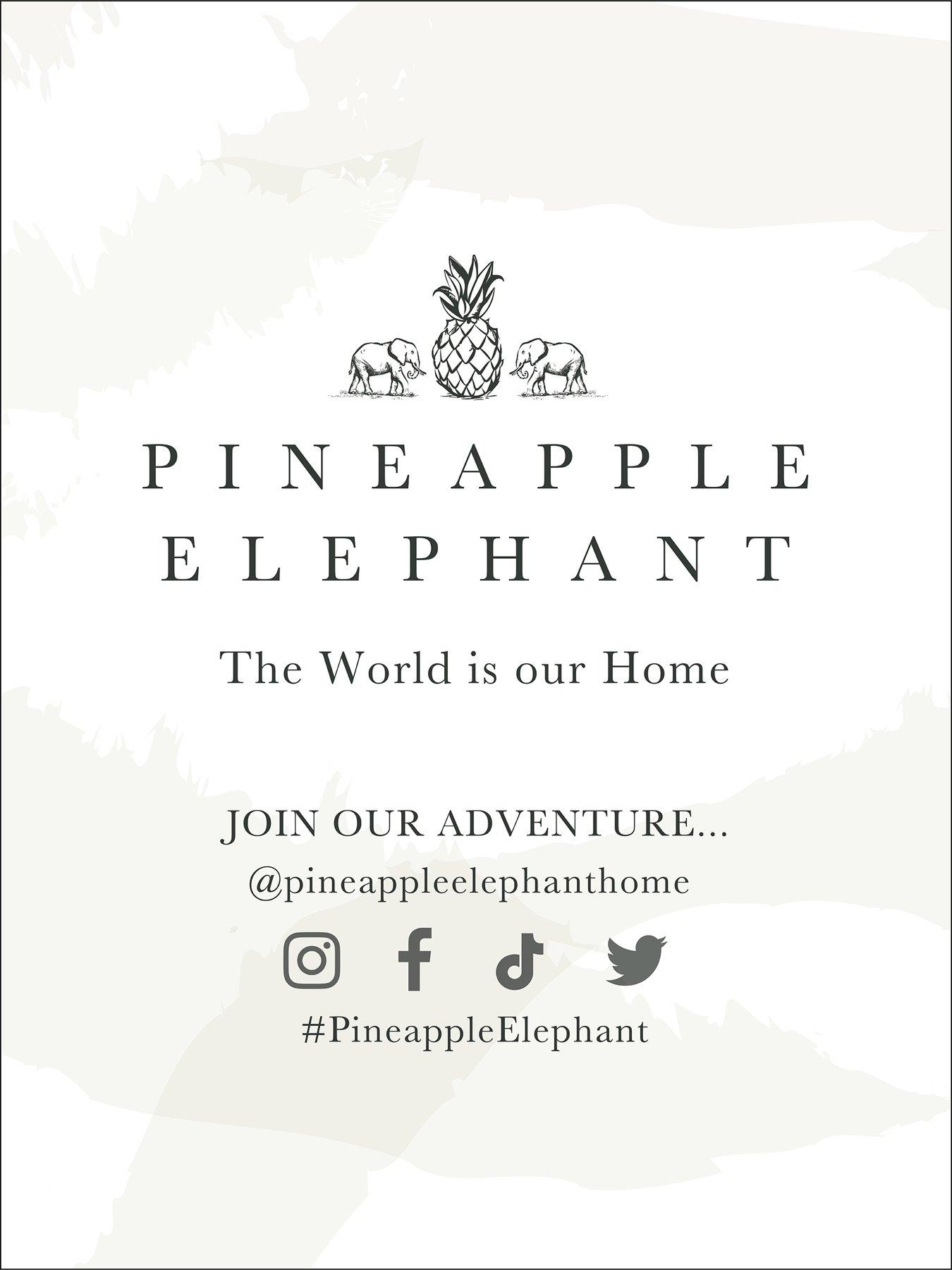 pineapple-elephant-tamba-jersey-oxford-pillowcase-pair-naturaldetail