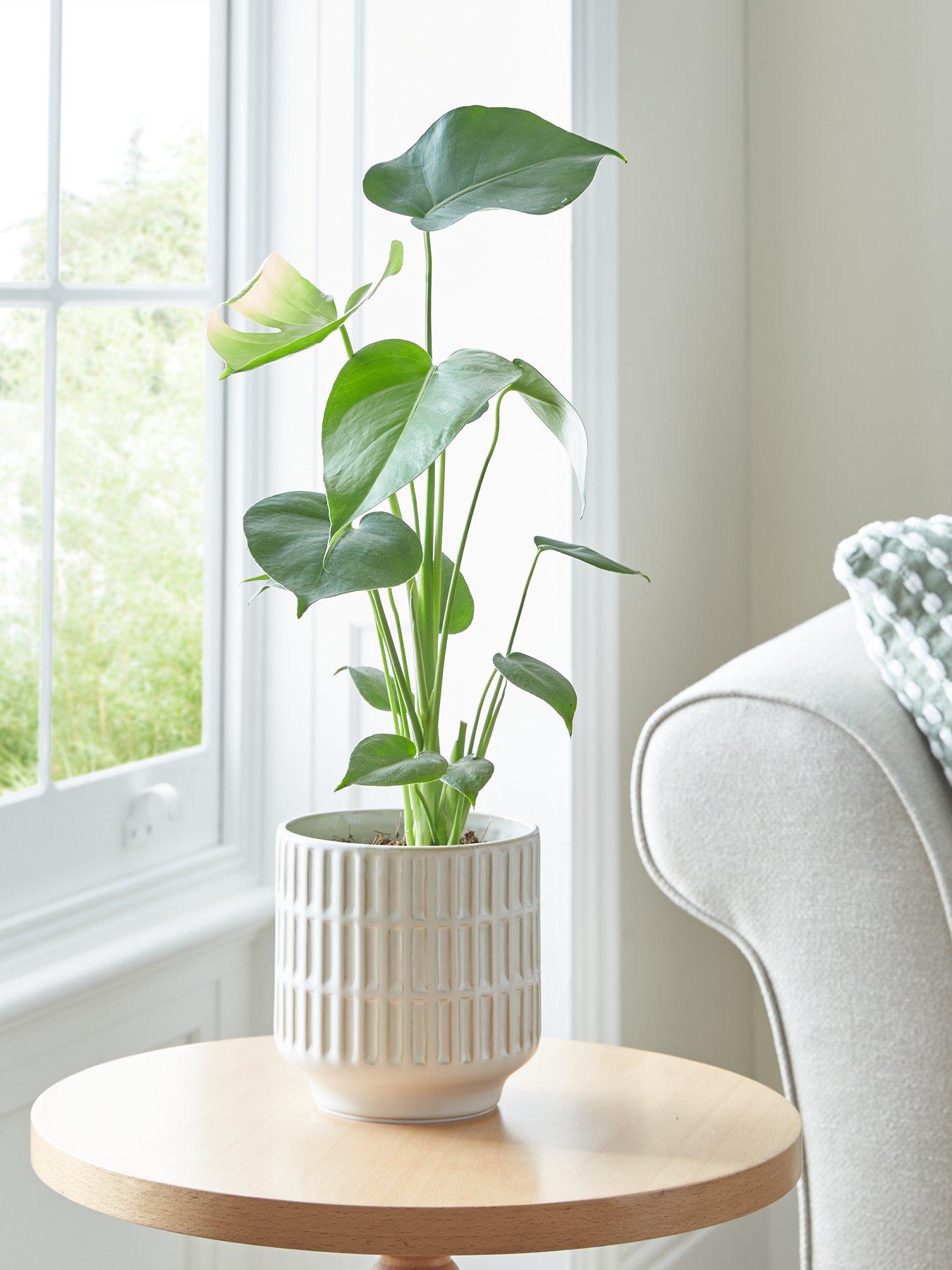 Very Home Natural Debossed Planter