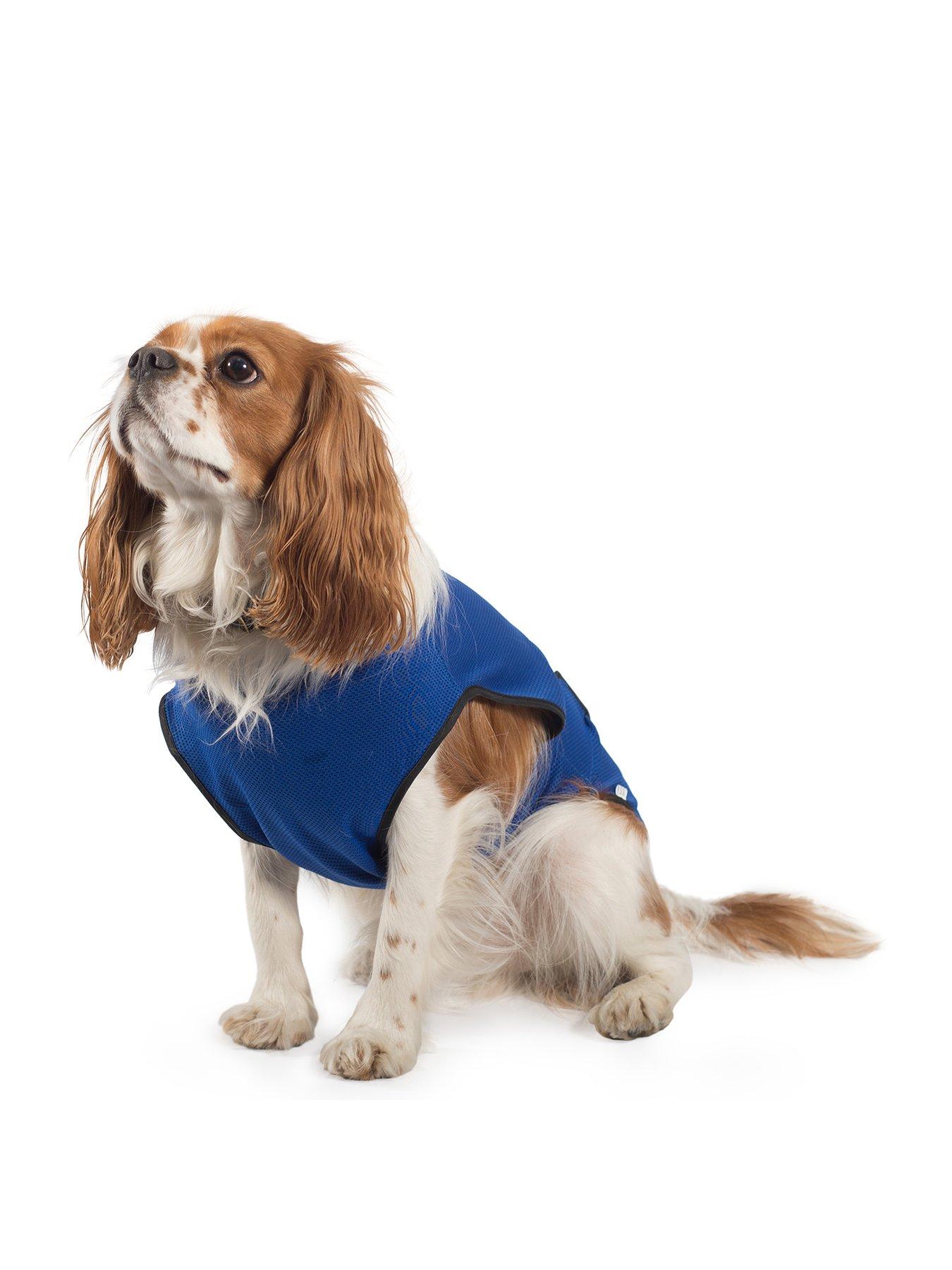 https://media.very.ie/i/littlewoodsireland/VLOQW_SQ2_0000000099_N_A_SLf/pet-brands-dog-cooling-vest-xlge.jpg?$180x240_retinamobilex2$