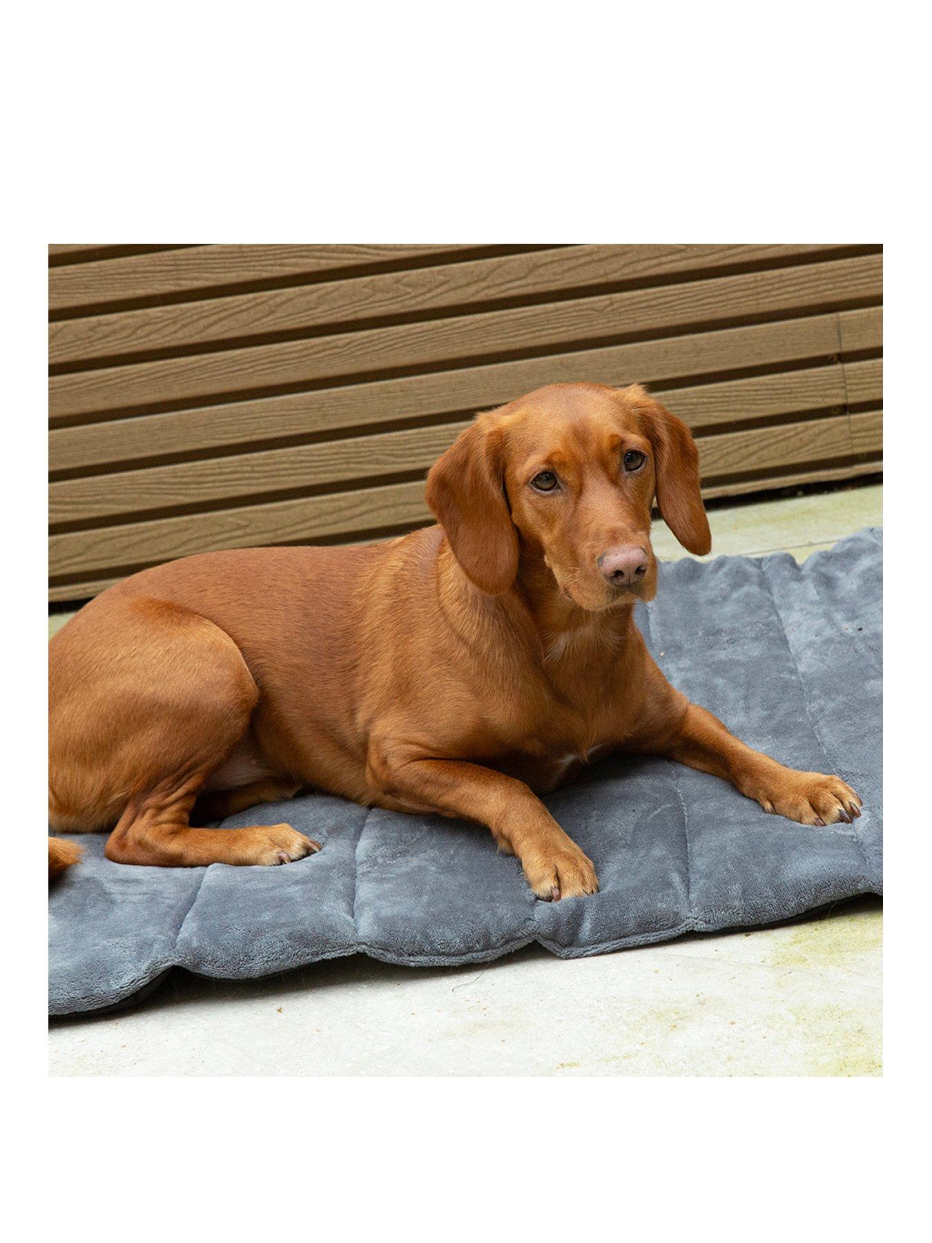 Image of Scruffs Expedition Roll Up Travel Pet Bed