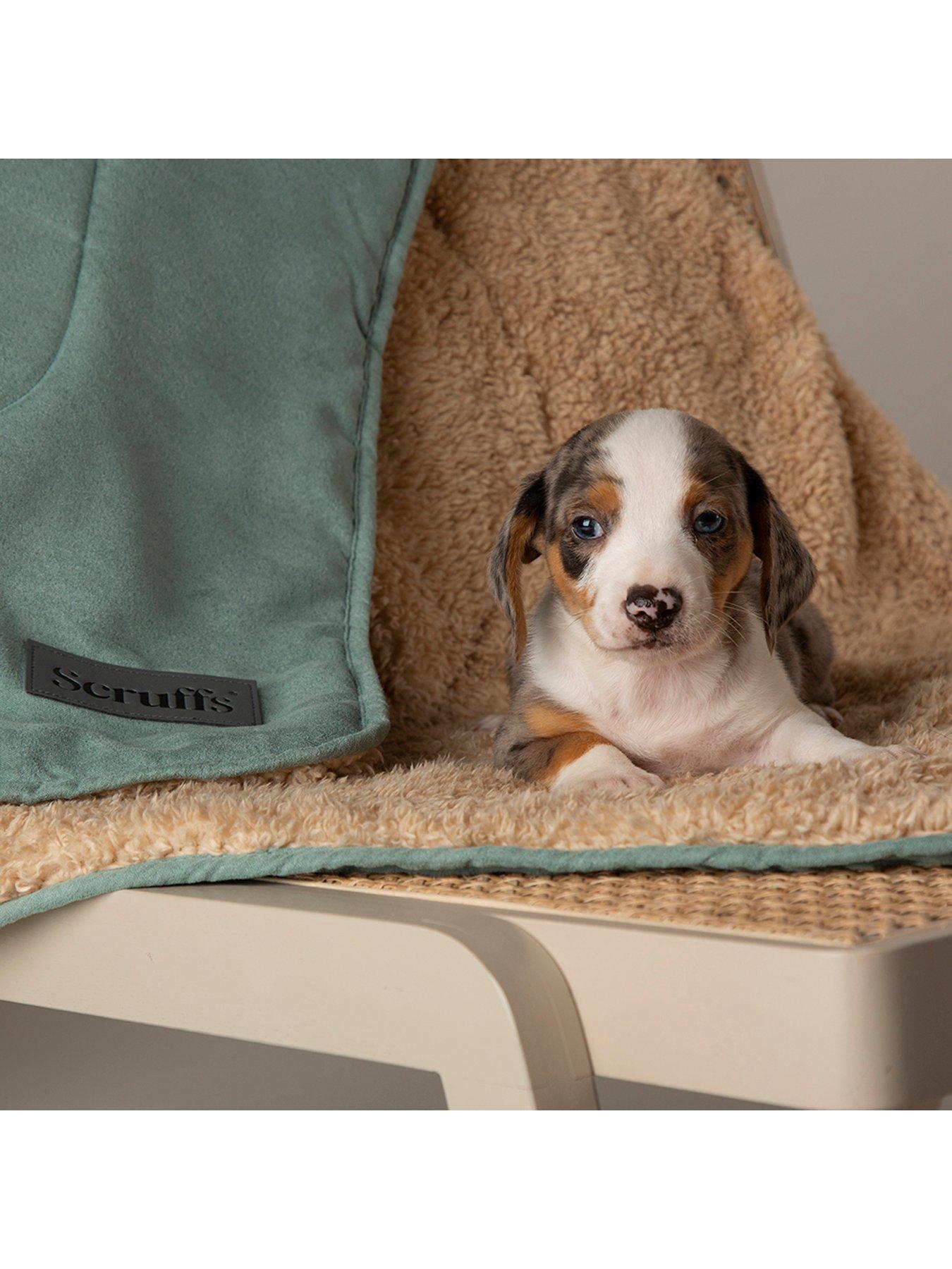 Scruffs Snuggle Blanket